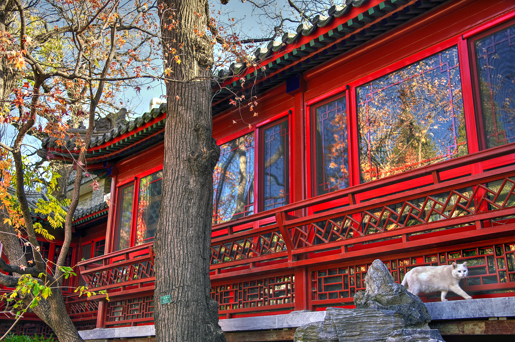 游大连肃亲王府,我的初秋历史探寻之旅 初秋的大连,阳光变得柔和而