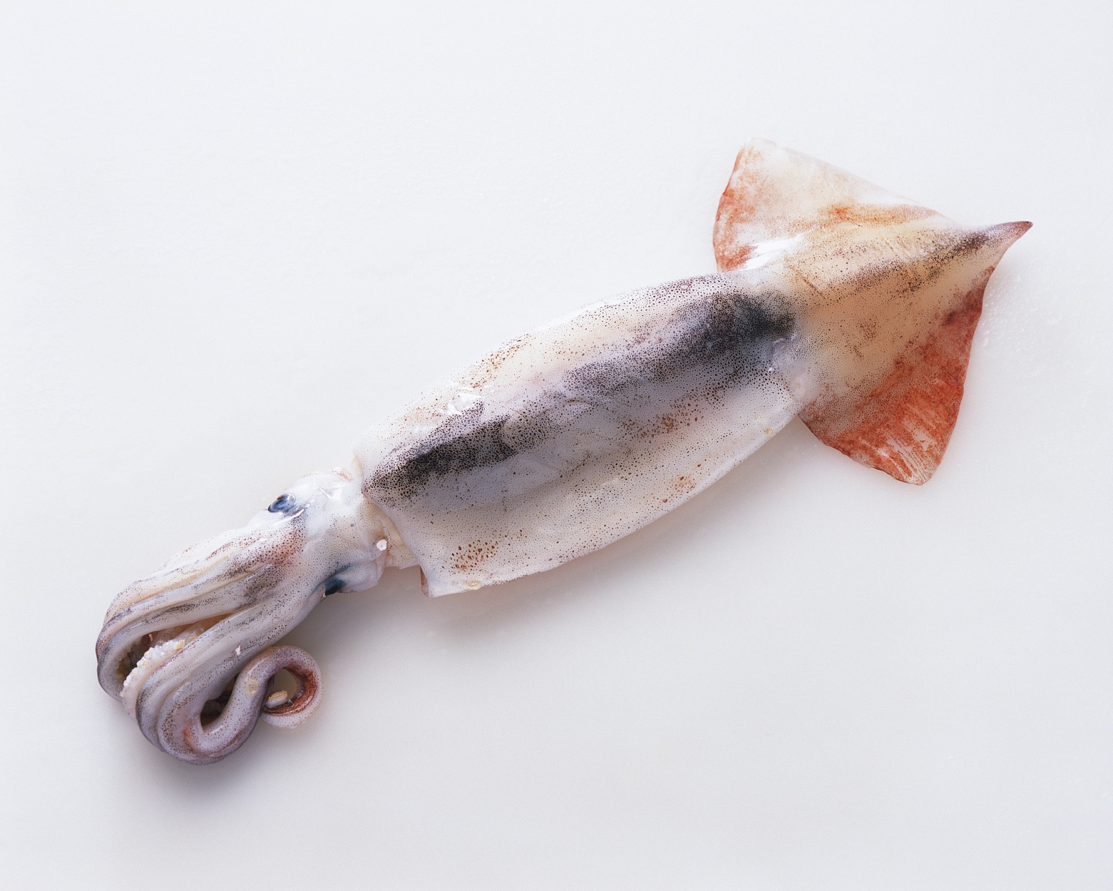 [原文:目鱼怎么做最好吃]