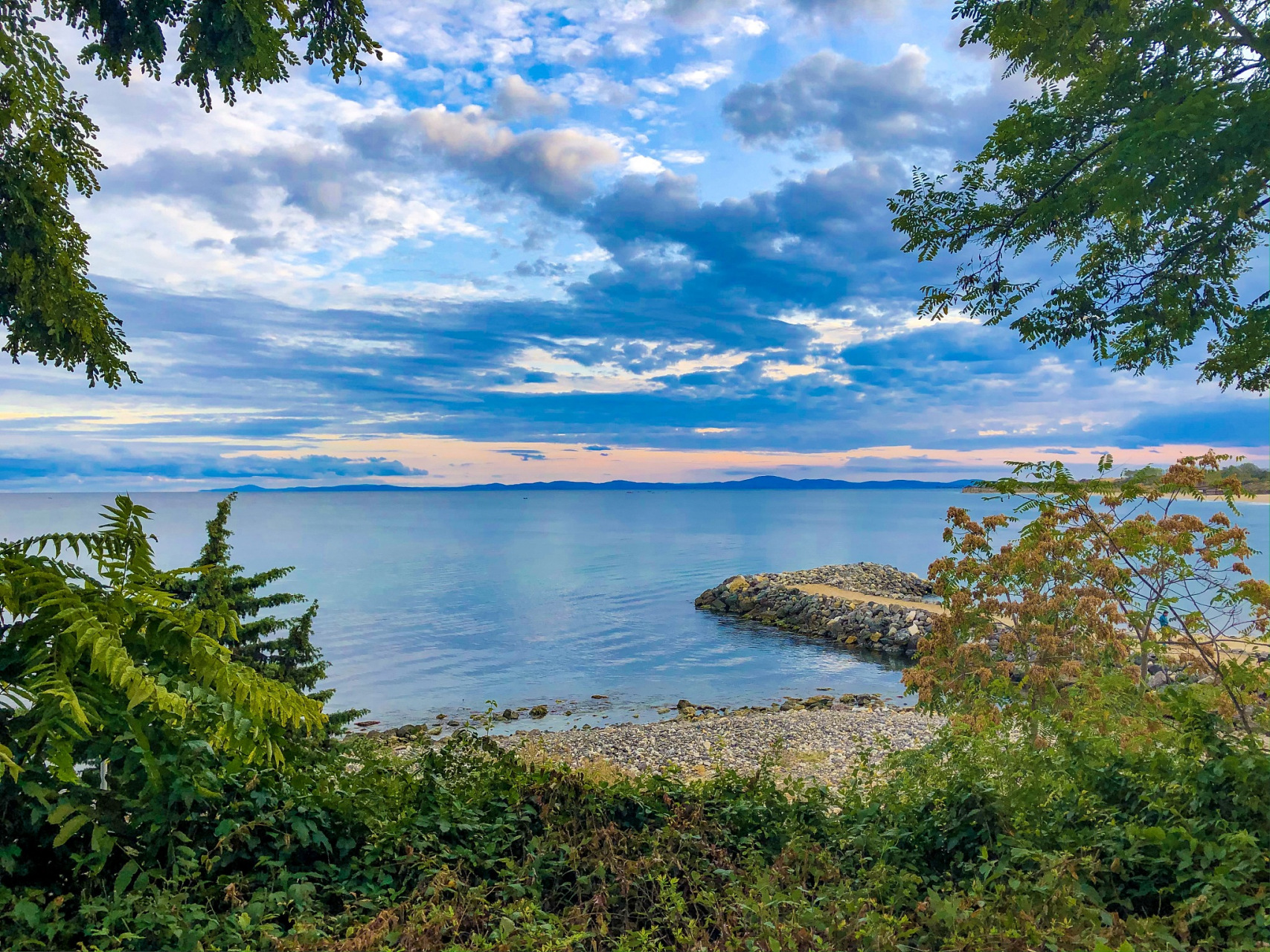 诡异留信称被仙人选中,30年后回家  近日,云南昆明