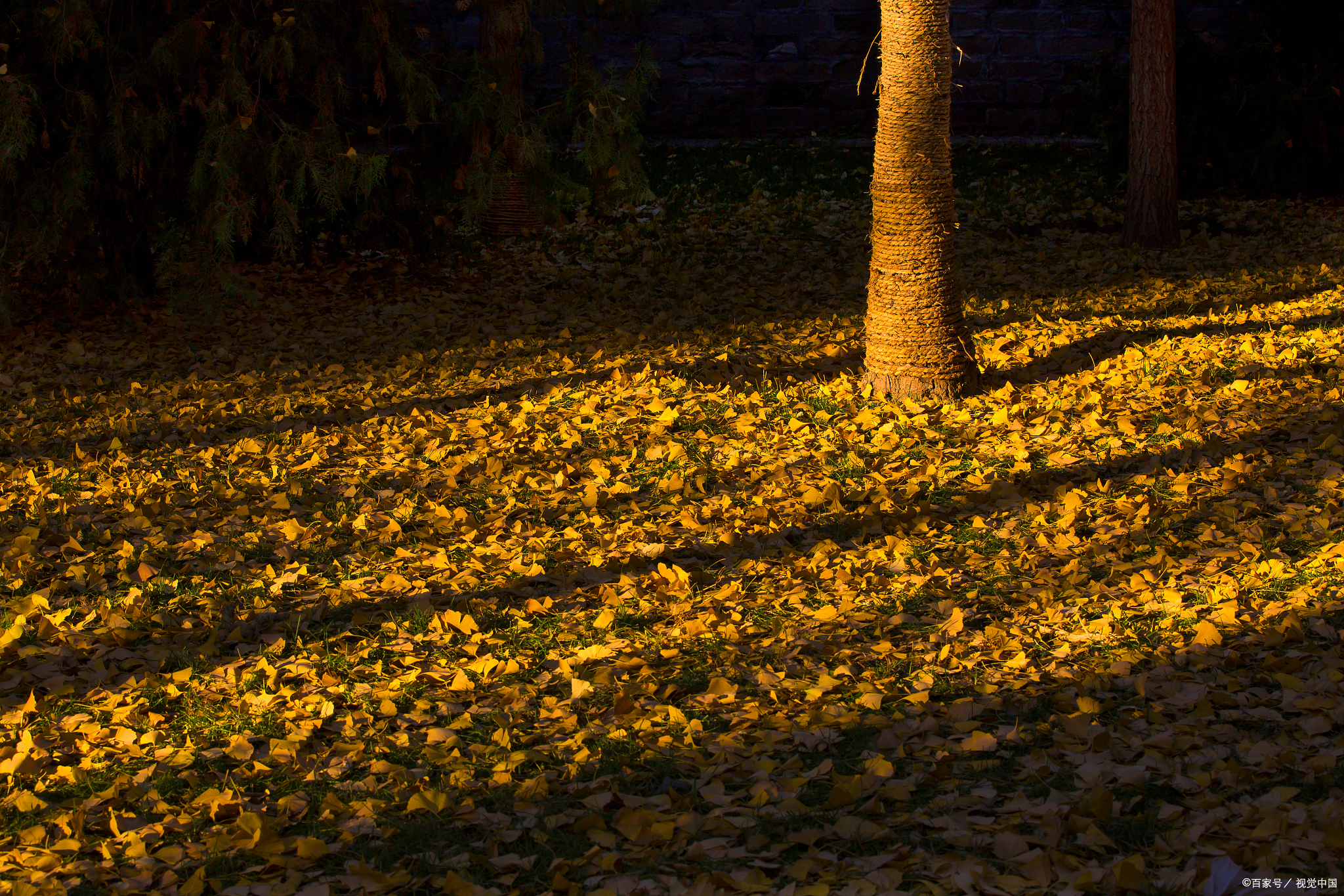 已觉秋窗秋不尽,那堪风雨助凄凉.