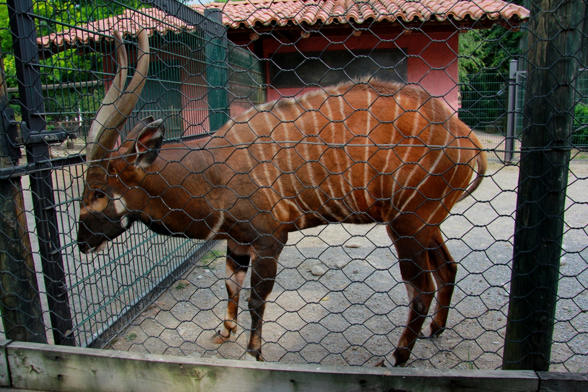 杭州动物园位于杭州市虎跑路40号,原址在钱王祠.
