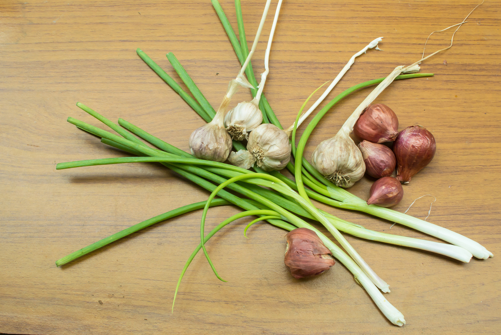 薤(xiè),又作藠(jiào),亦名藠子,火葱,鸿荟,菜芝等.