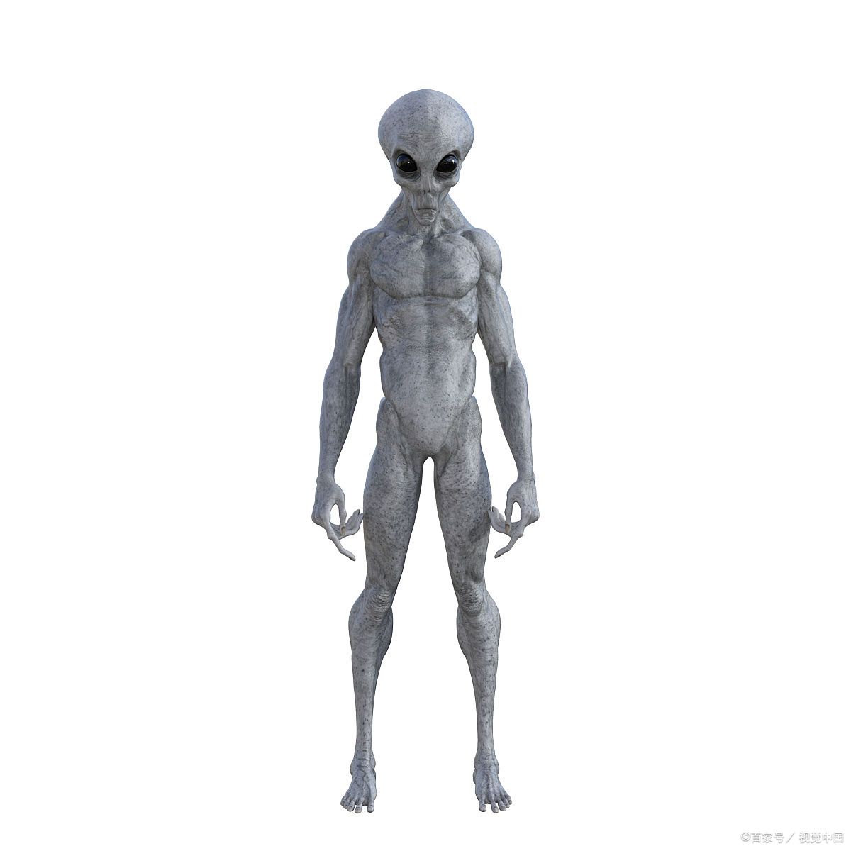美国购物中心被传惊现外星人:2