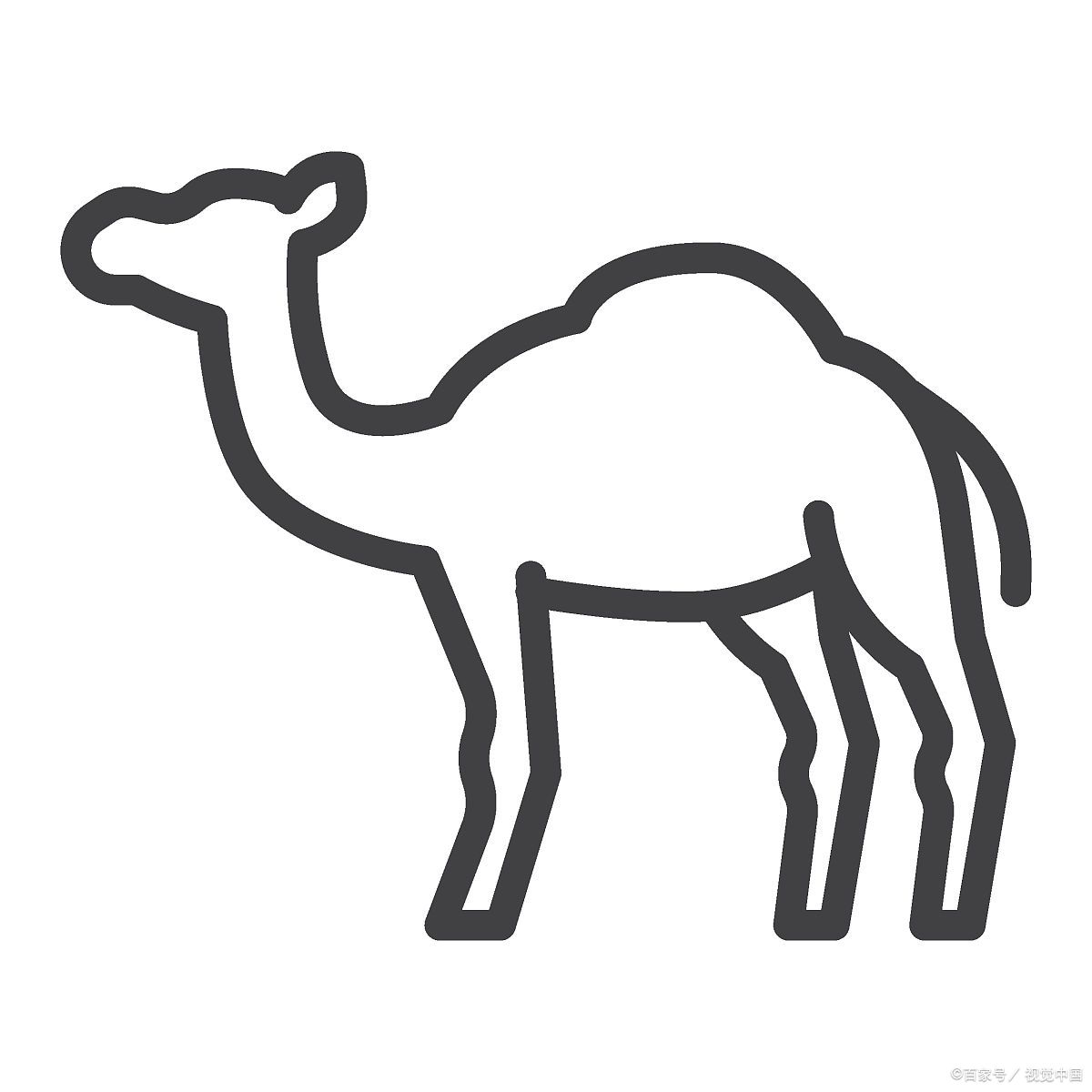 怎样画骆驼简笔画  嘿,朋友!