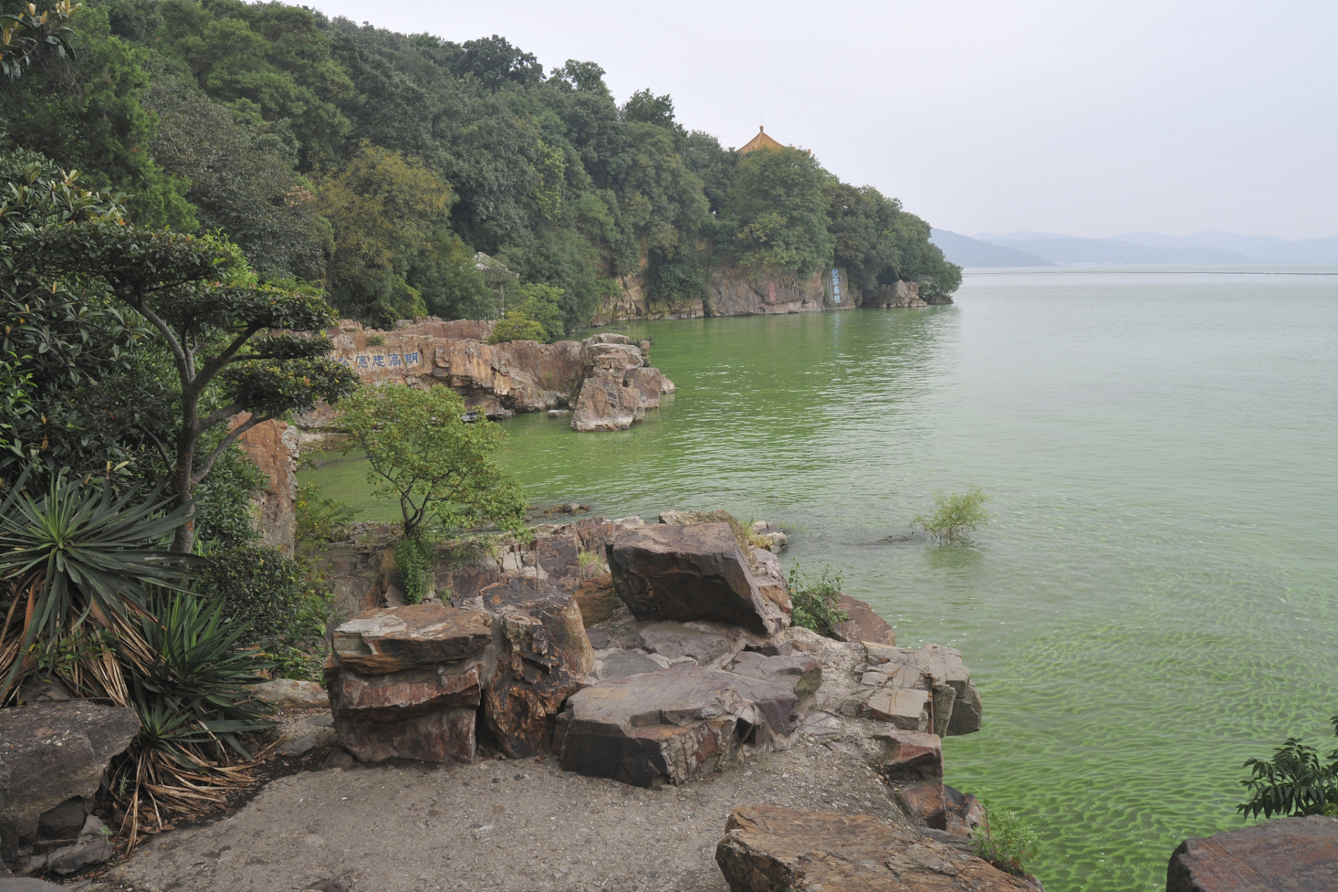 惠州亲子游玩地点推荐:红花湖景区,惠州西湖风景名胜区,白鹭湖生态