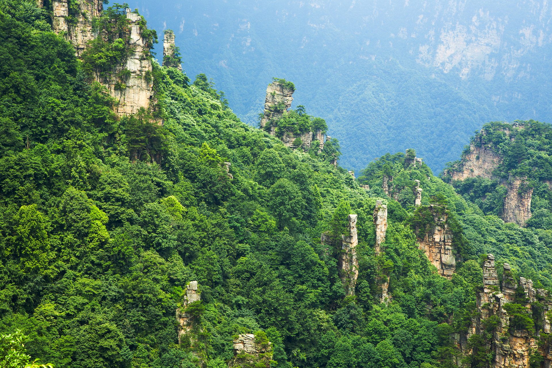 神农架风景区是一个让人流连忘返的地方,这里拥有着世界自然遗产,世界