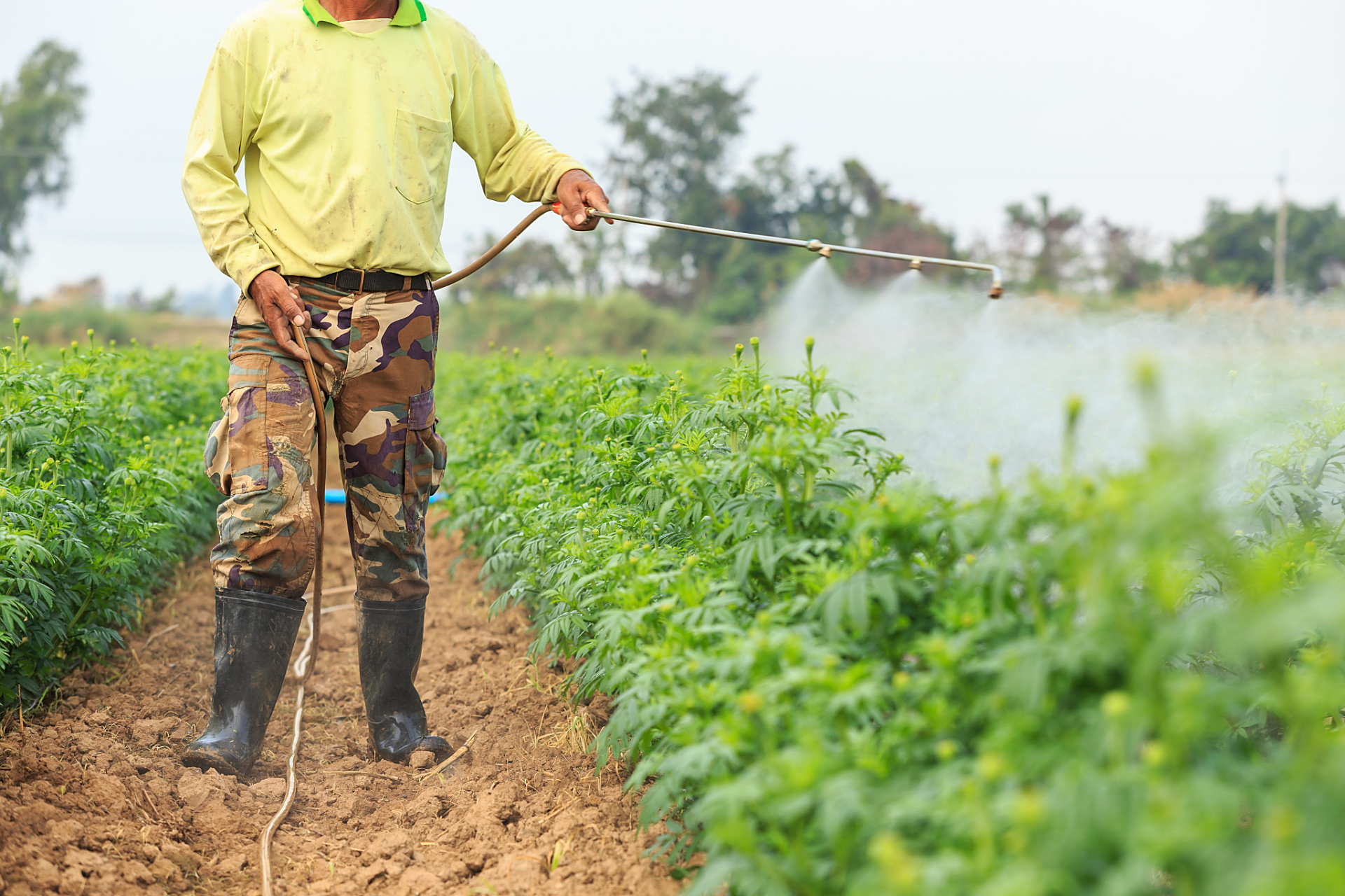 酒后喷农药的情况最容易发生在农民身上