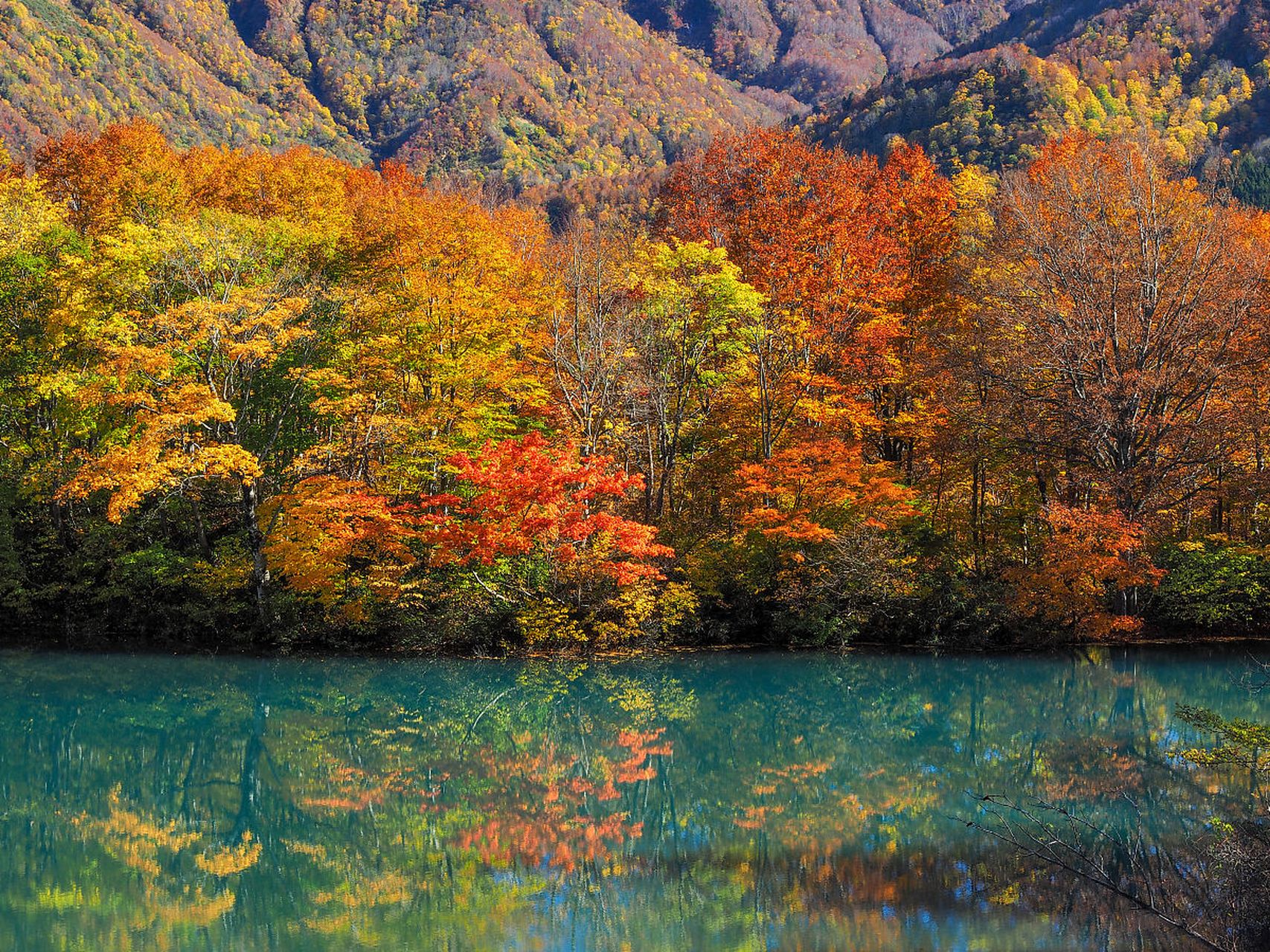 沿着蜿蜒曲折的小径行走,你会发现九寨沟的湖泊美得令人窒息.