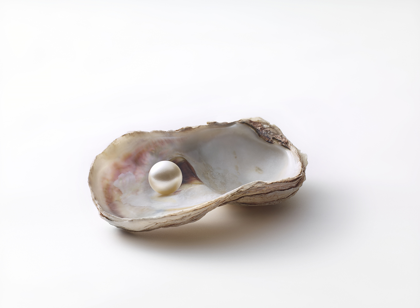 直播间"开蚌取珠"背后的陷阱:商家假售珍珠,骗取消费者信任!