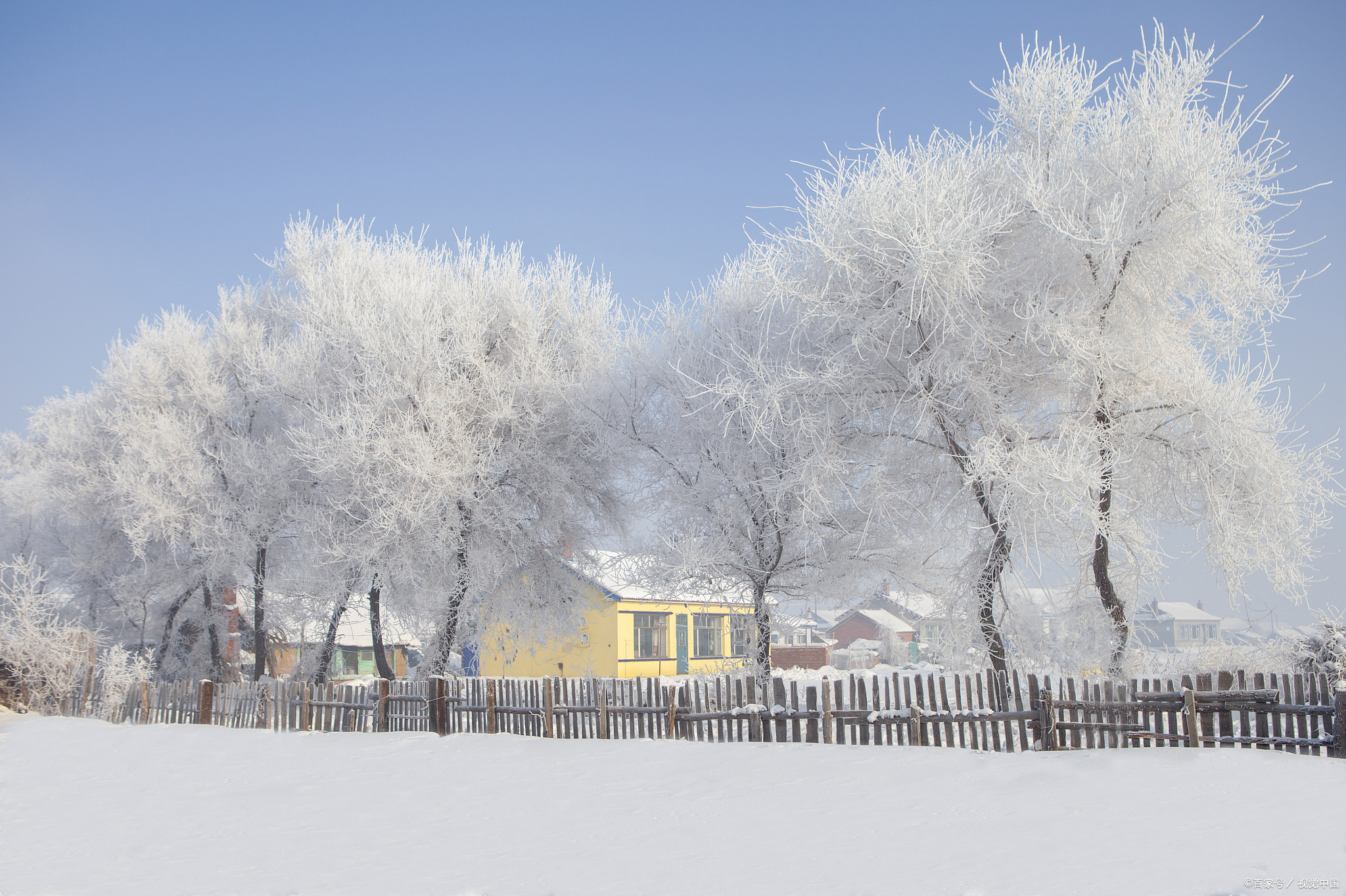 雪景真美图片