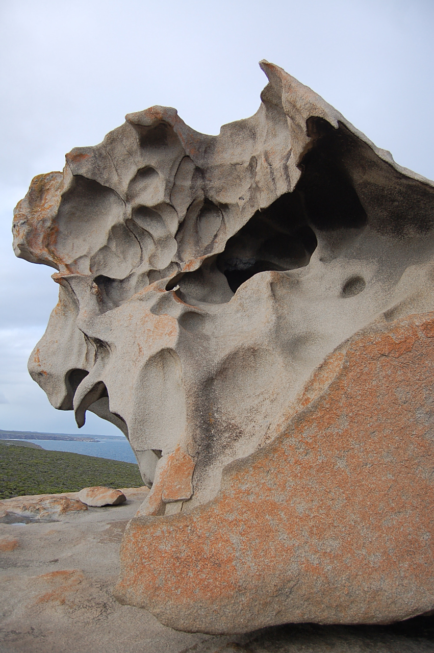 行动的责任,是这个行动的结果,无论是对自己有利益