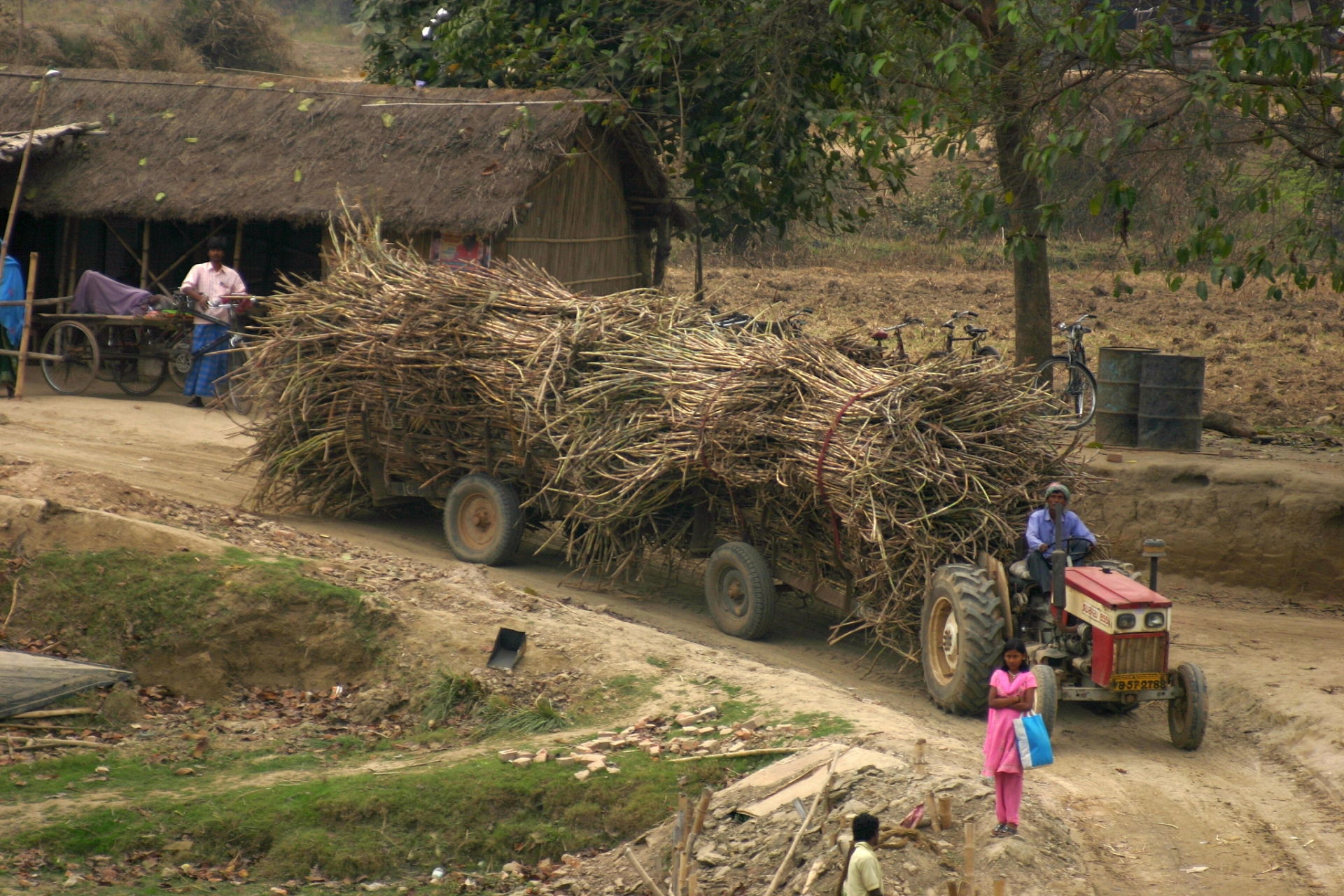 在这里,人们过着与城市截然不同的生活方式,享受着大自然的恩赐,和谐