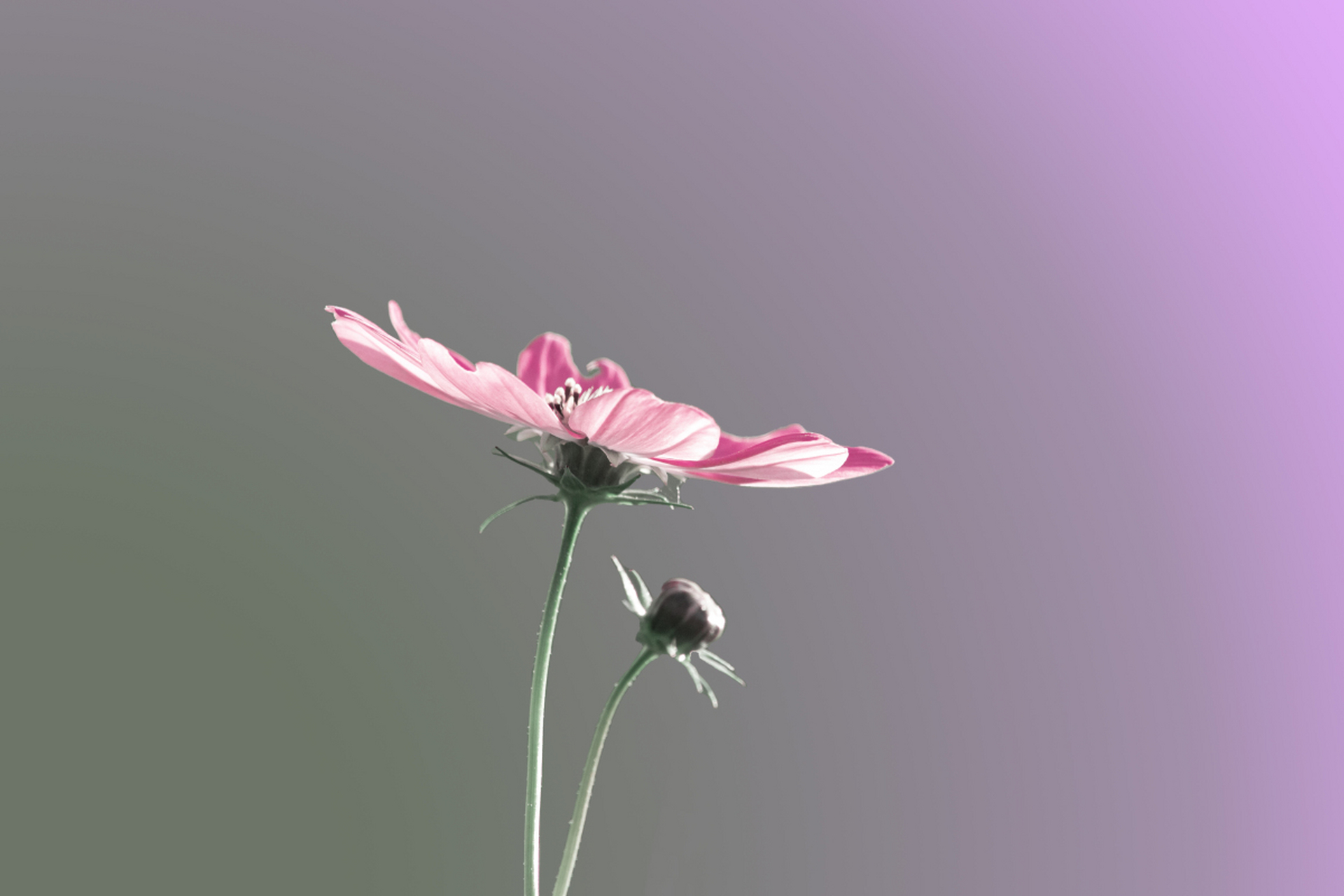 人的第六感可以可怕到什么程度?