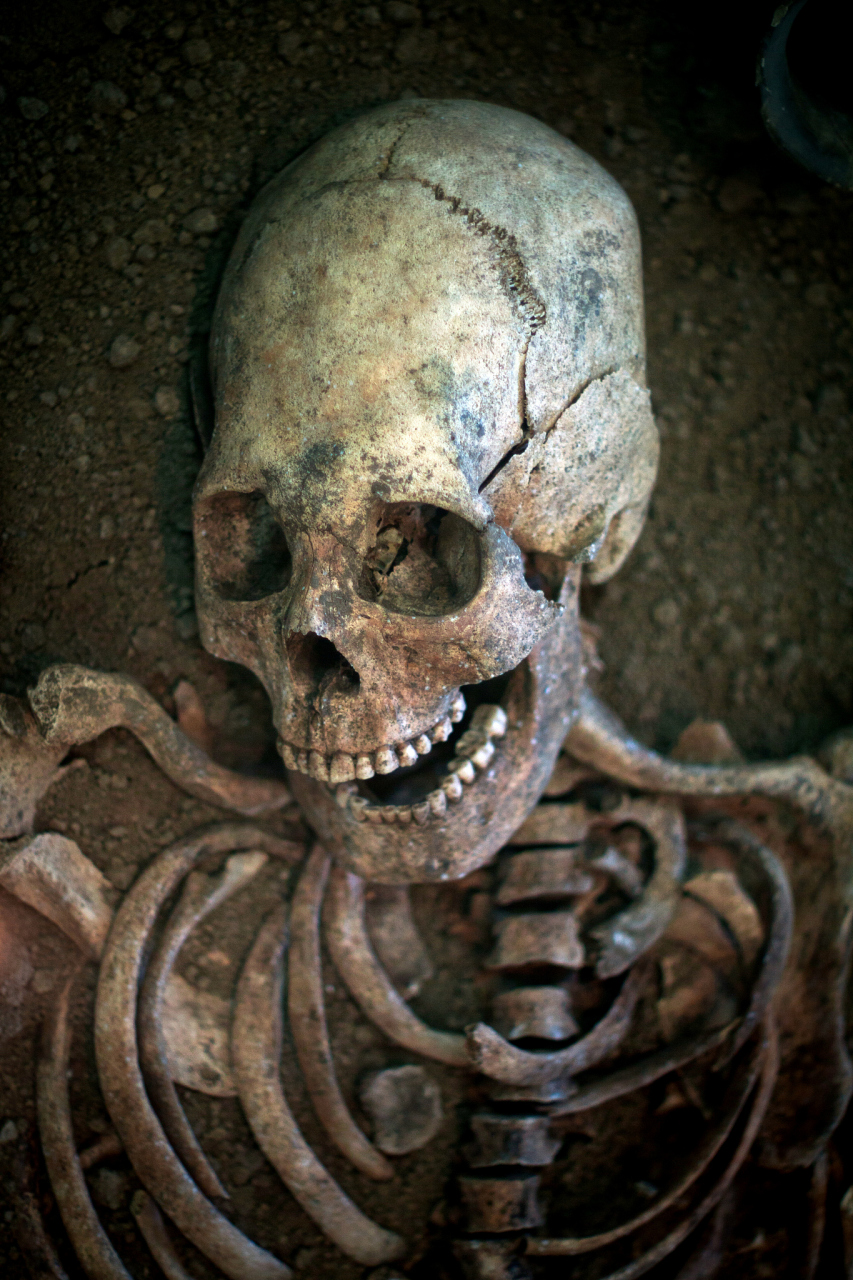 科学# #探险#  92发现五具巨人骸骨:国际科学家探险队在墨西哥探险