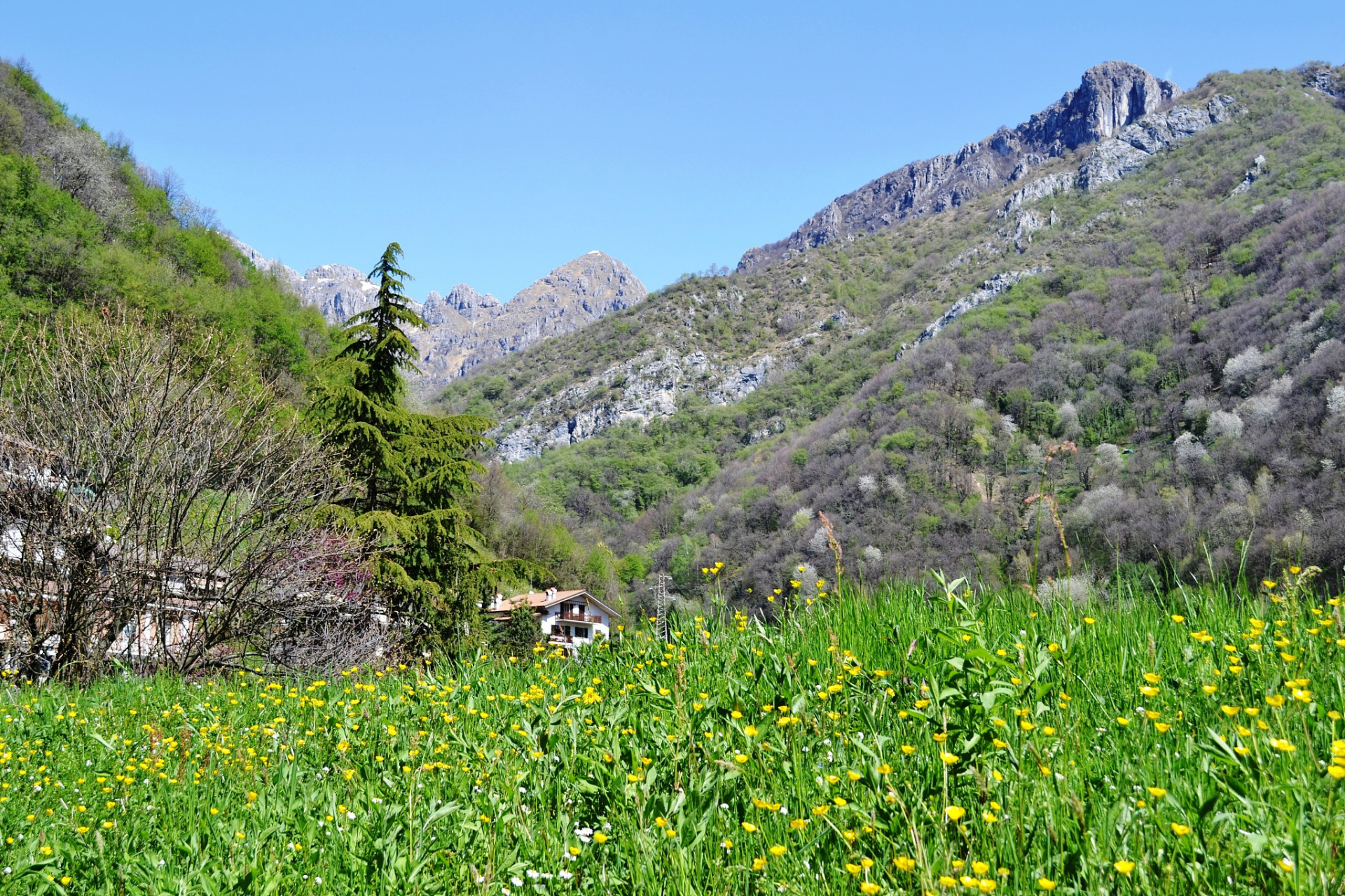 心定西再出发#漳县贵清山植物园位于定西市漳县境内,距离定西是区