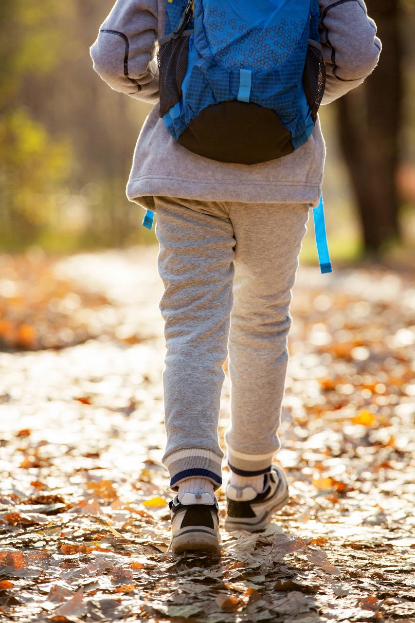 走路就能降低死亡风险!