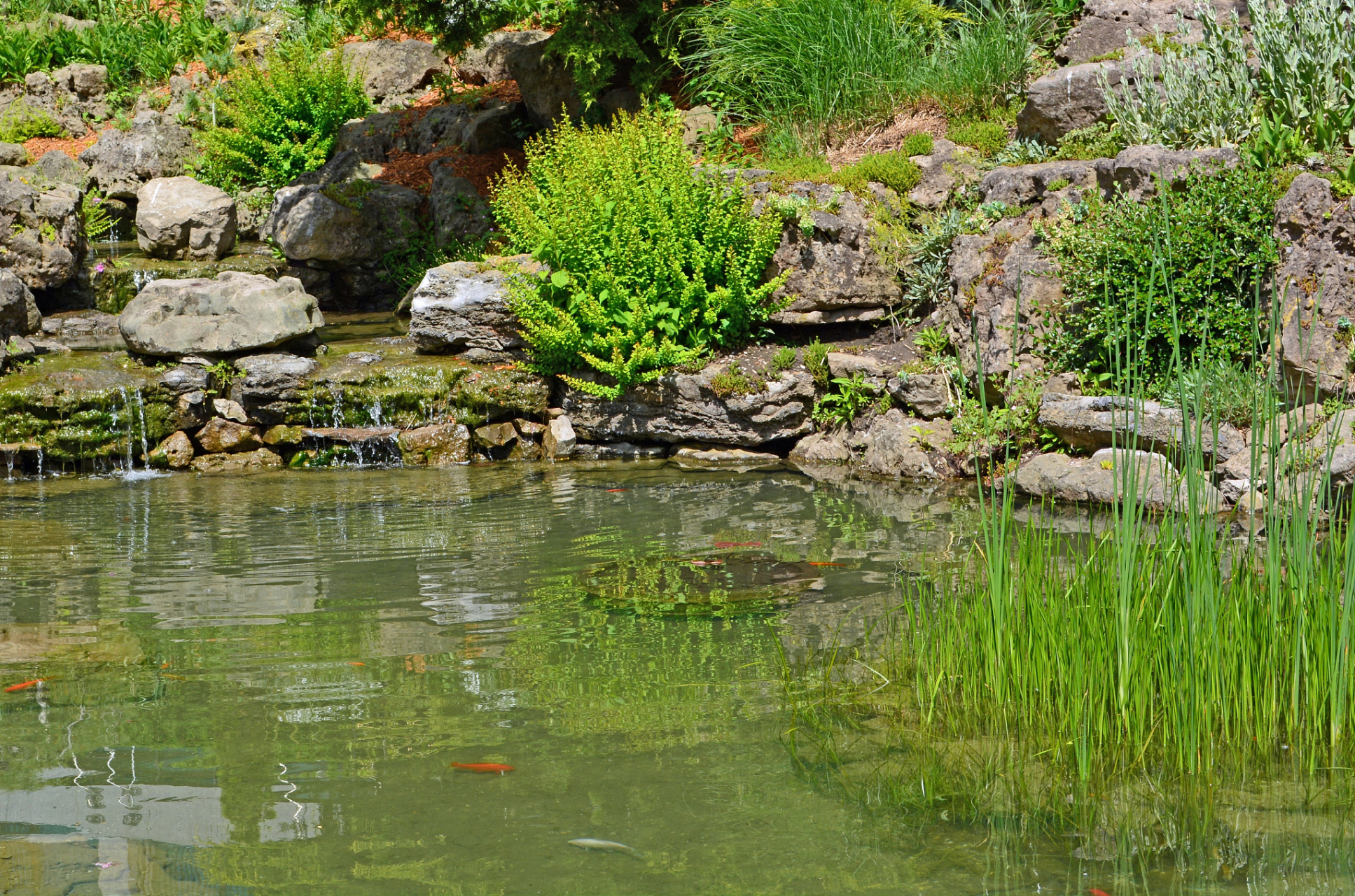 水生植物与陆生植物最大的区别在于生长环境.