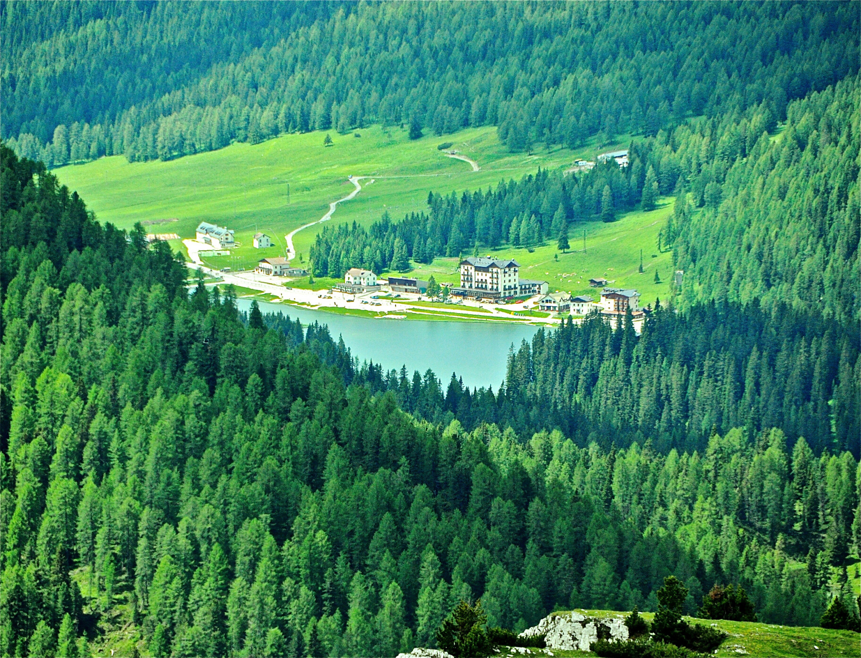 奇遇那拉提#那拉提盘龙松林景点位于新疆伊犁哈萨克自治州巩留县,是