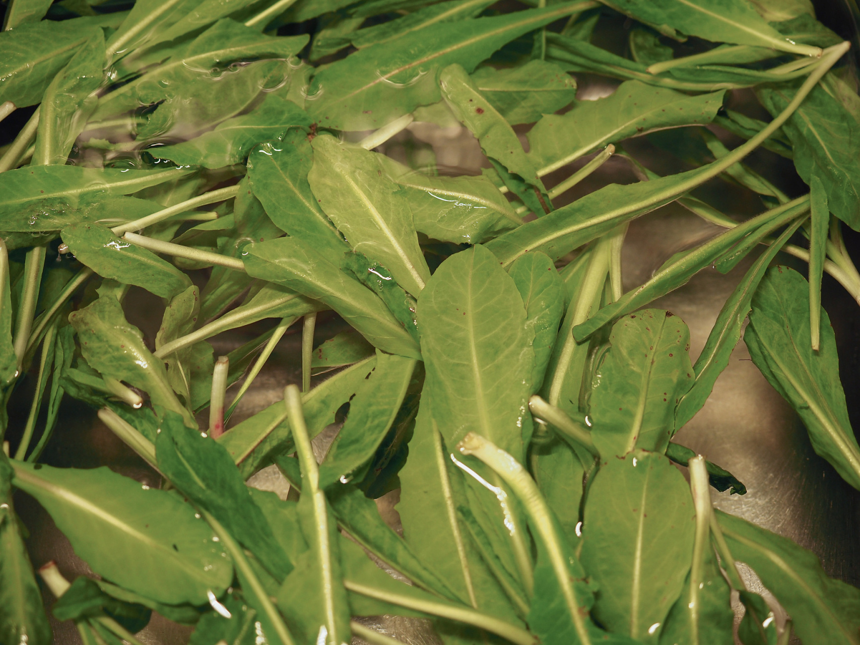 1,丁嘴金菜:丁嘴金菜(即黄花菜),最为出名的产地,属宿豫区丁嘴镇(现