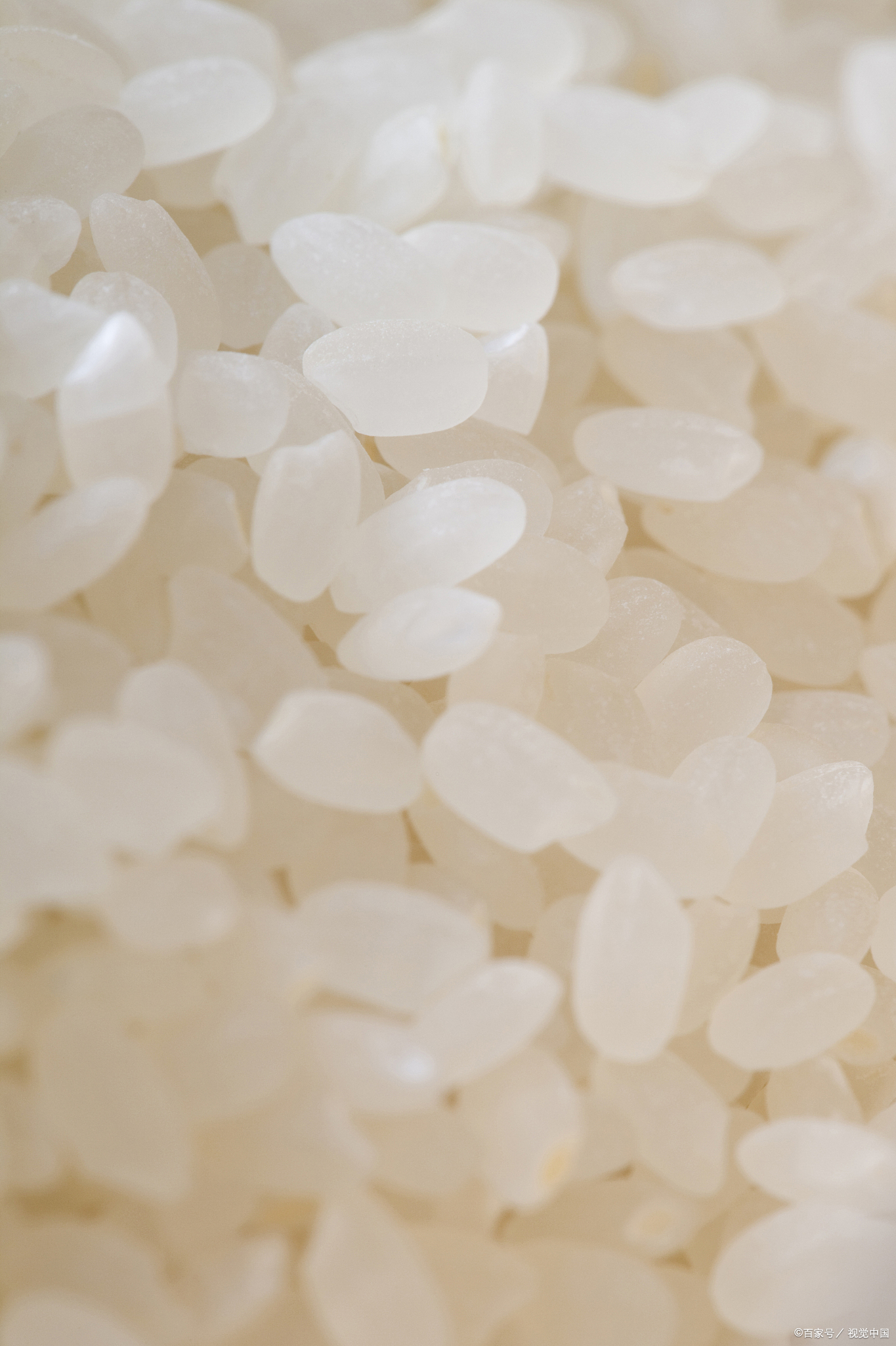 每次一提到宿迁籼米,我就忍不住想起那清淡的香味,简直让人垂涎三尺.