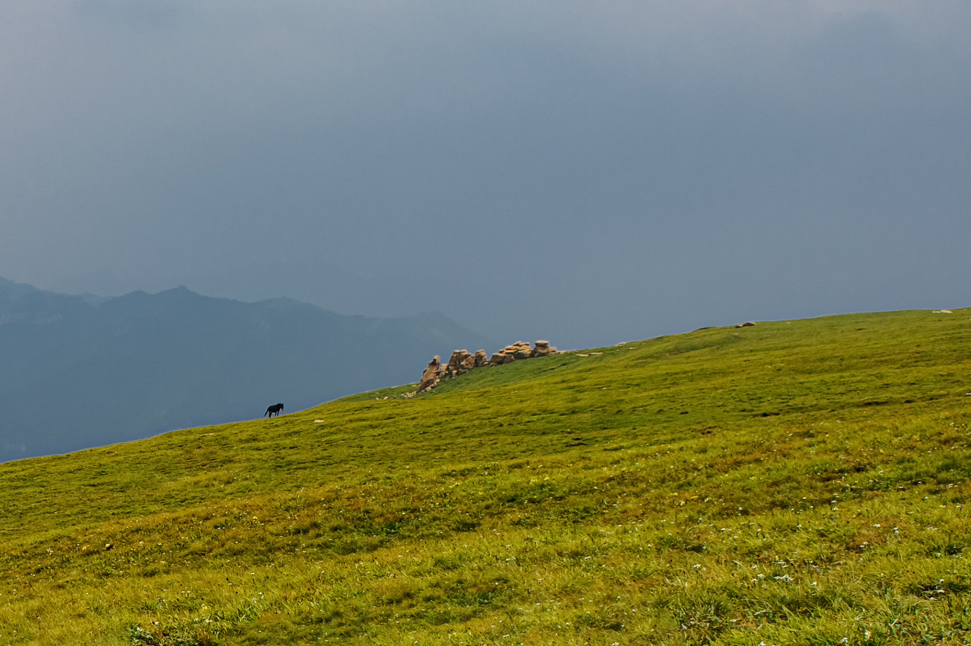 景点-空中草原  空中草原是一个位于河北省保定市涞源县的草原旅游