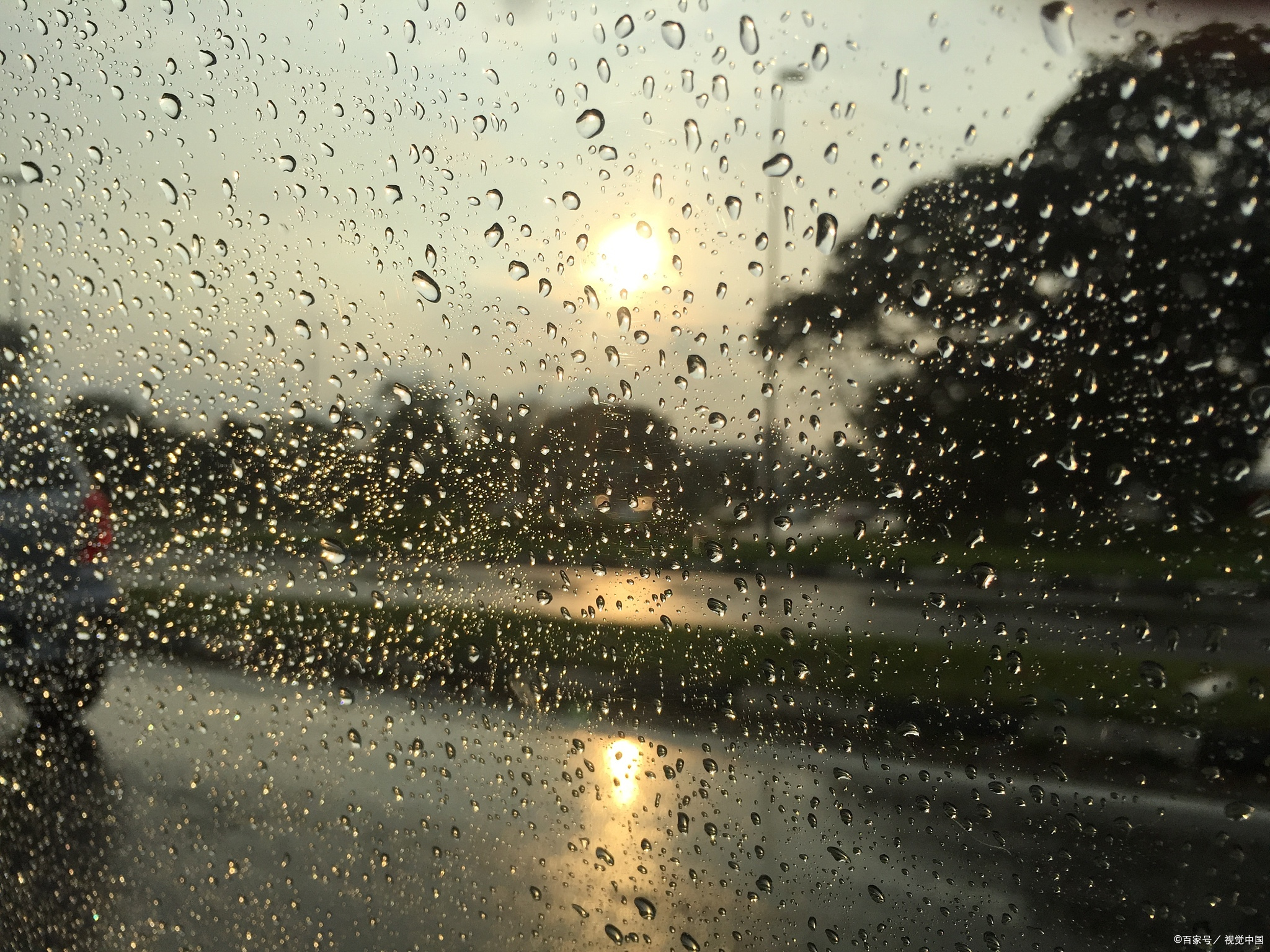 我在的城市下雨了