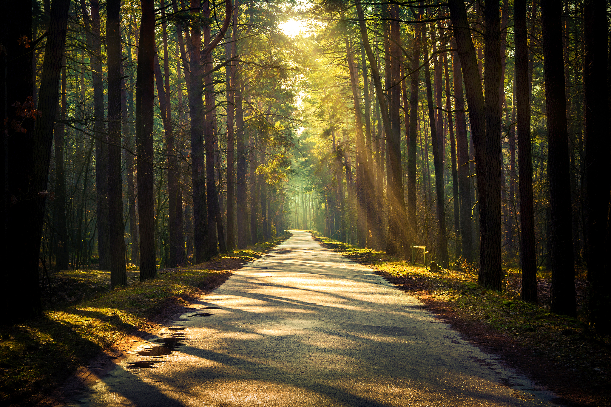 autocad2024详细安装教程cad2007下载免费中文