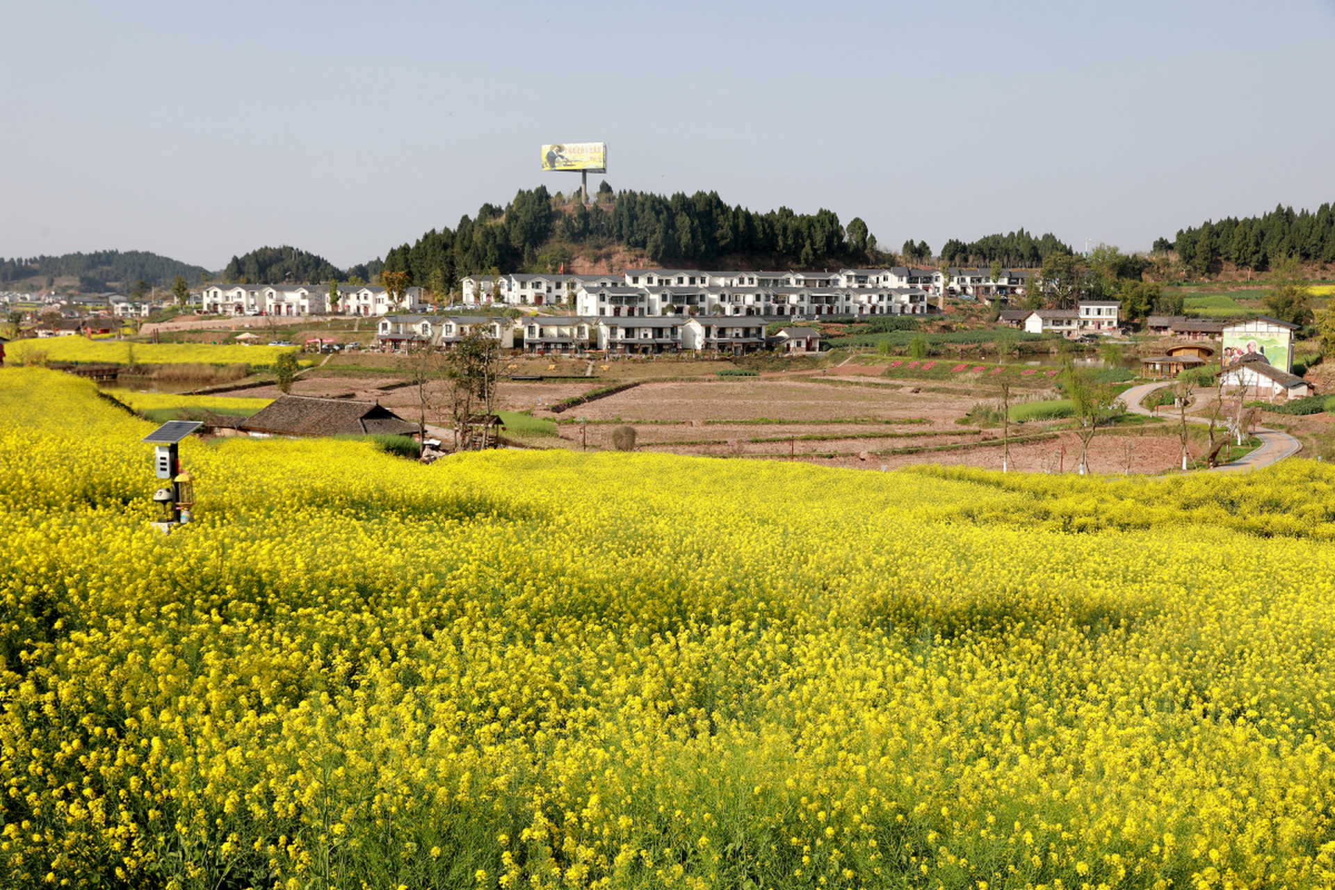 灵泉寺,广德古刹等你探访历史印记.夜晚更有四川地道美食诱人味蕾.