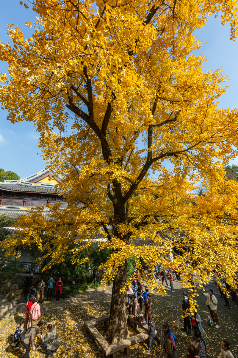 无锡十大名寺之惠山寺