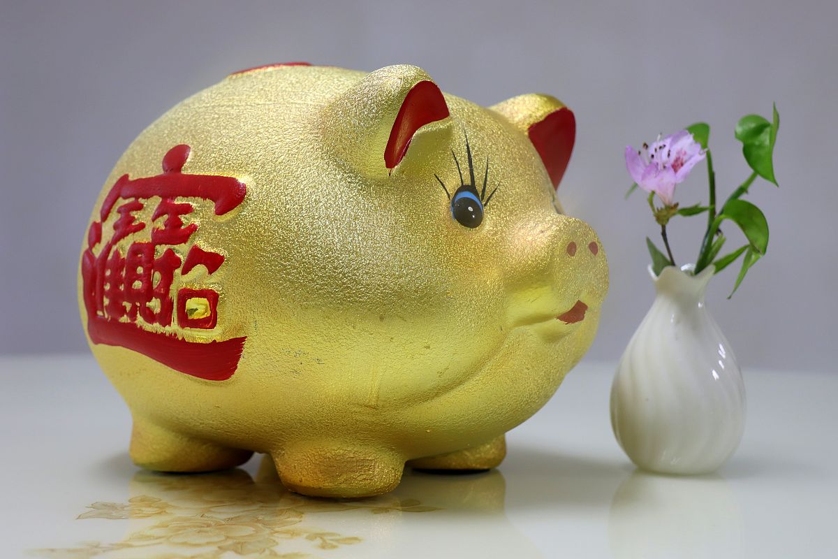 一个猪的生肖运势(一个猪的生肖运势怎么样)