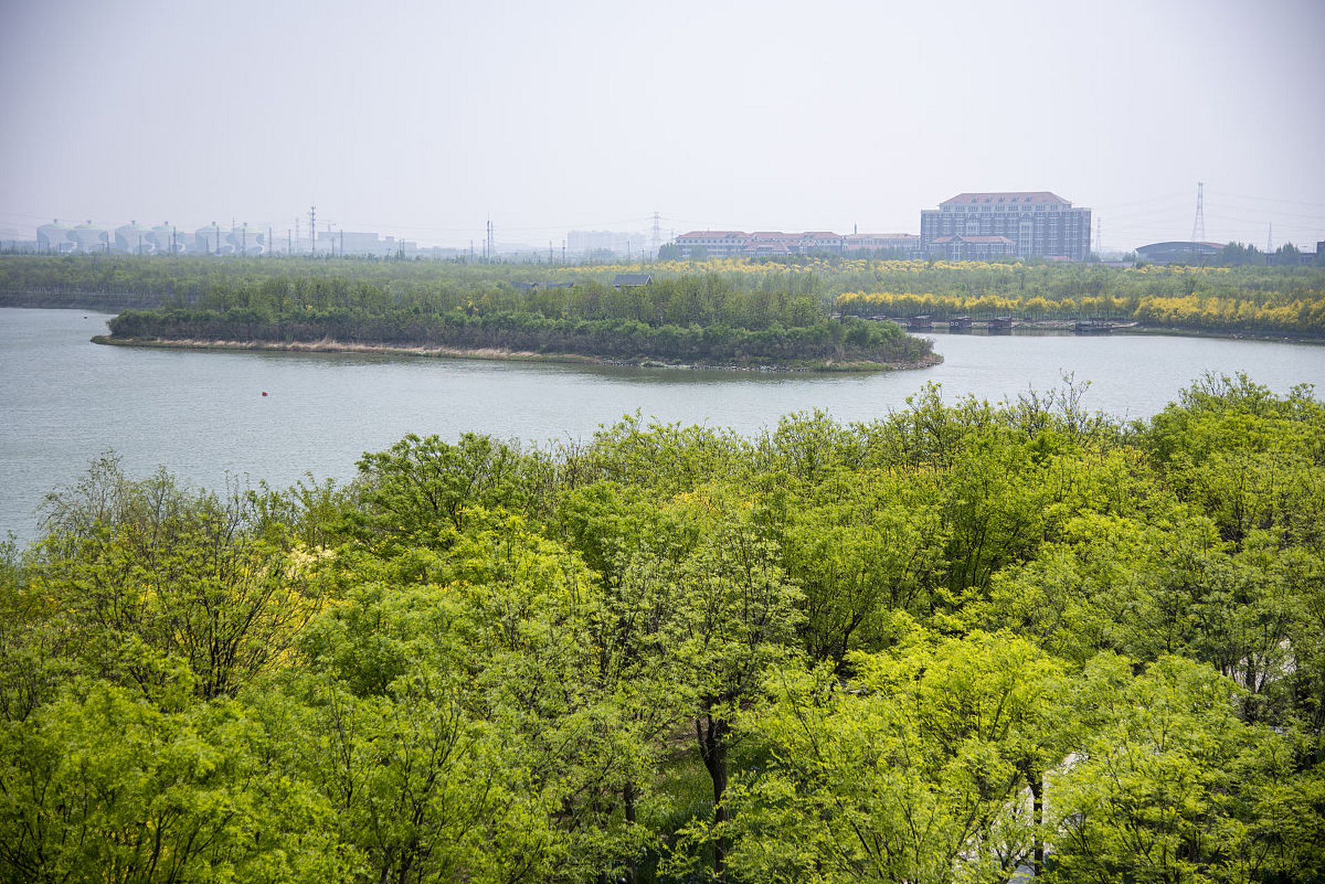 东丽湖是一个人工湖,周边有很多绿地和公园供人们休闲娱乐.#天津