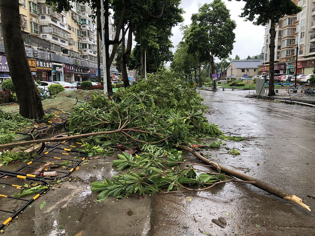 对公众心理健康的影响及应对策略时,我们需深入理解台风这一自然灾害