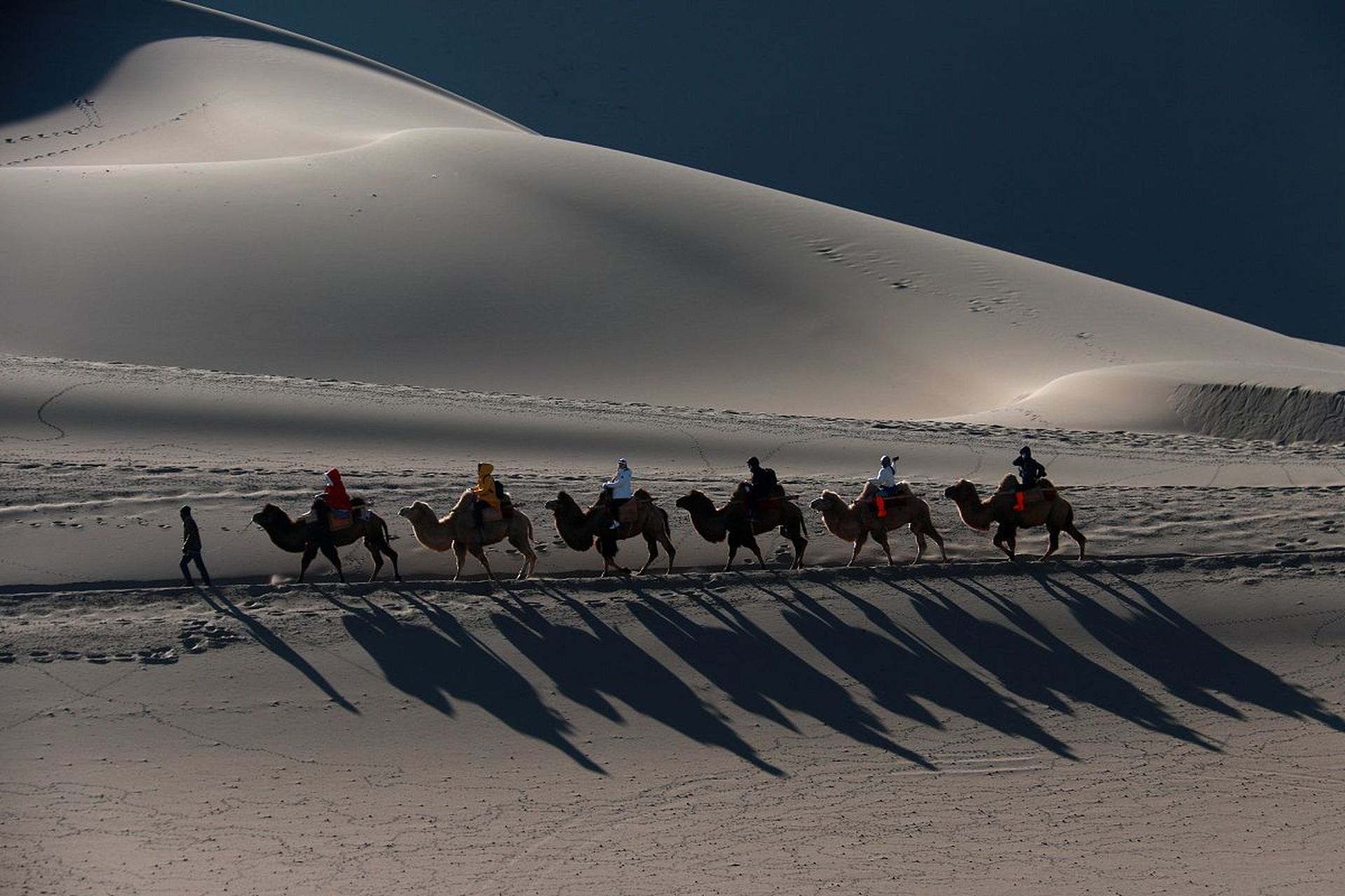 文旅部门回应敦煌骆驼体力不支!