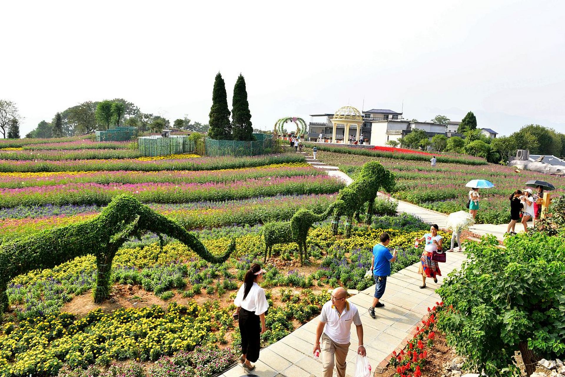 好花红乡村旅游区图片