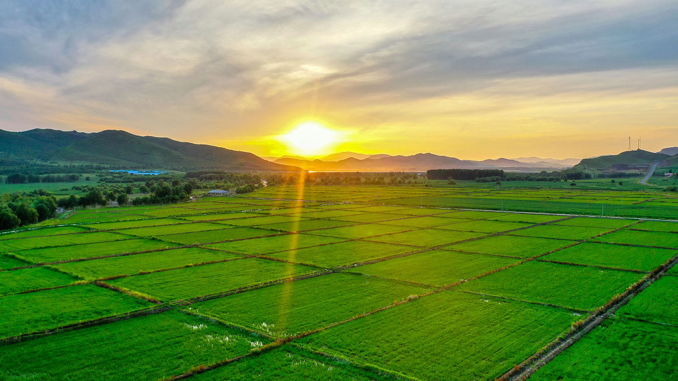 辽宁铁岭,一片富饶的黑土地如今却遭受着严重的破坏.