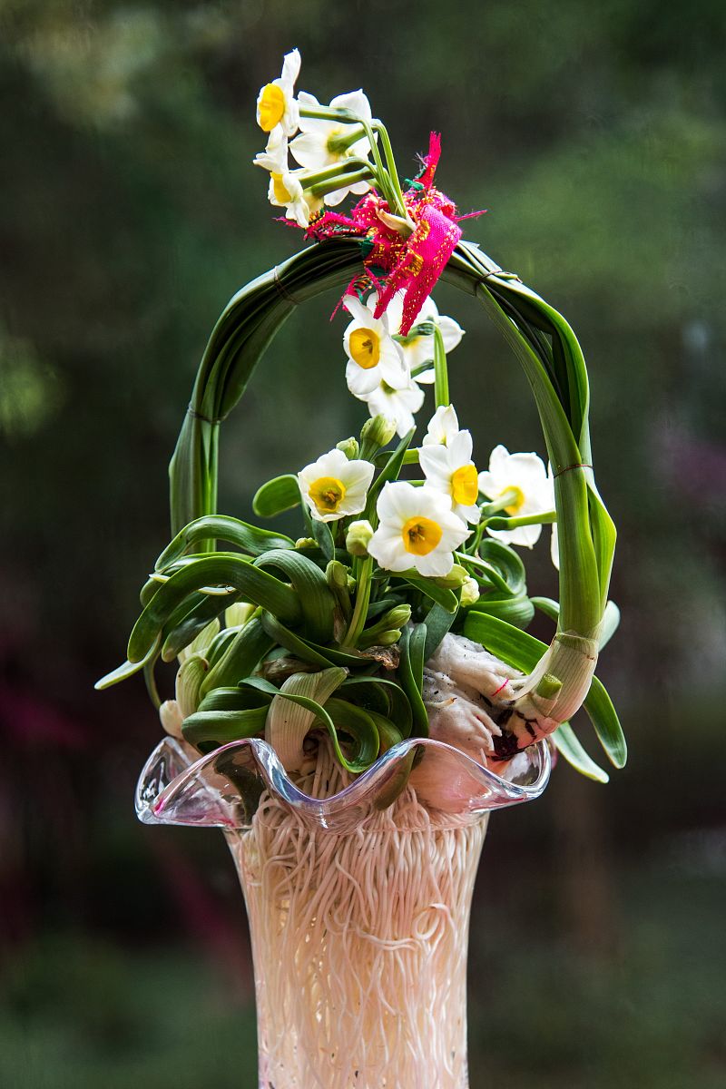 水仙雕刻造型艺术:蟹爪形等传统技法探秘