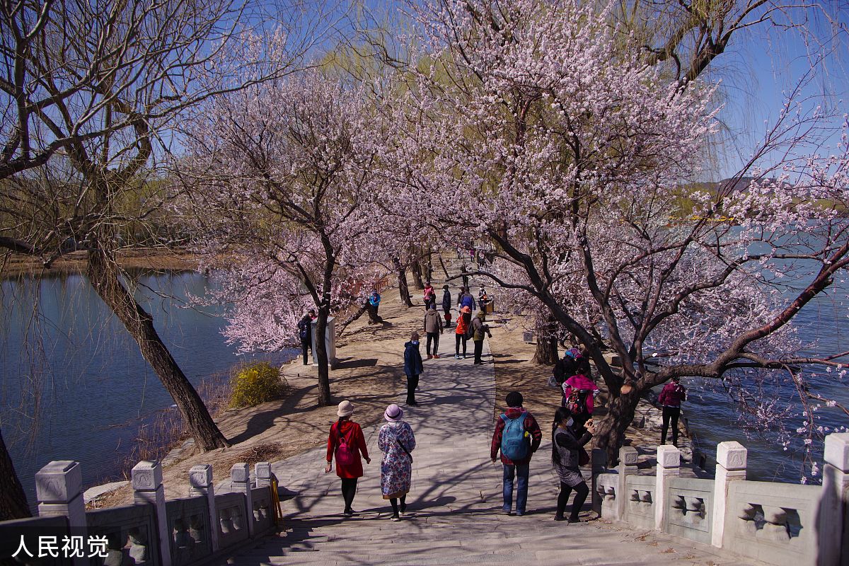 游辽宁阜新桃李园民族文化旅游度假村,我的初秋旅行攻略 初秋的阜新