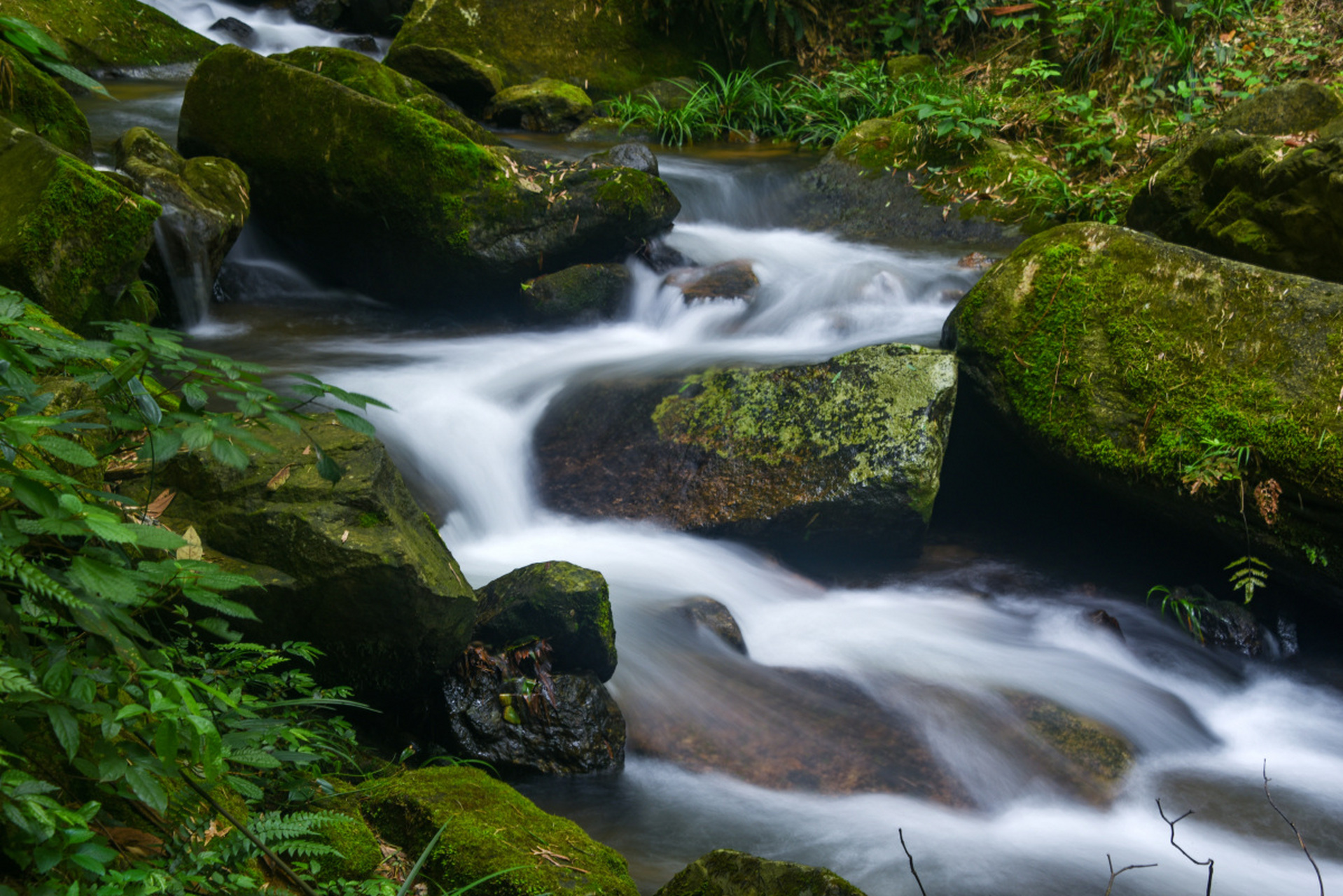 清澈的溪流,蜿蜒穿行于山谷间,水声潺潺宛如自然的歌声,将人们带入一