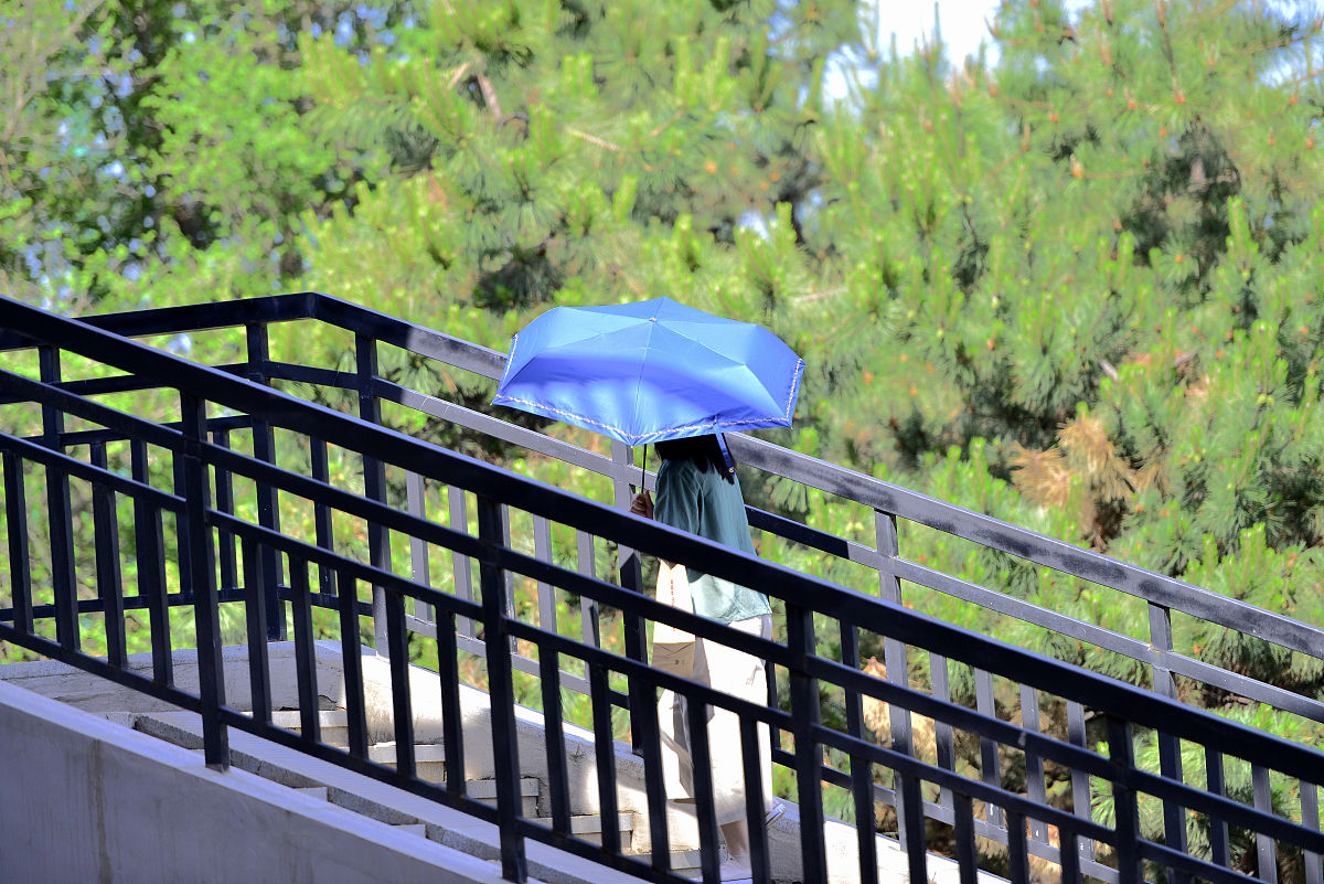 《准时宝》董壮壮语录