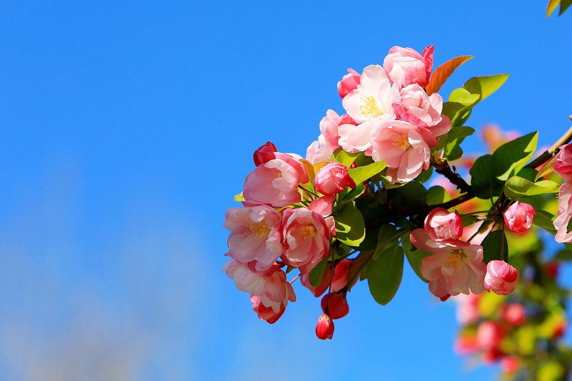 做一个乐观豁达的人,哄自己开心,与