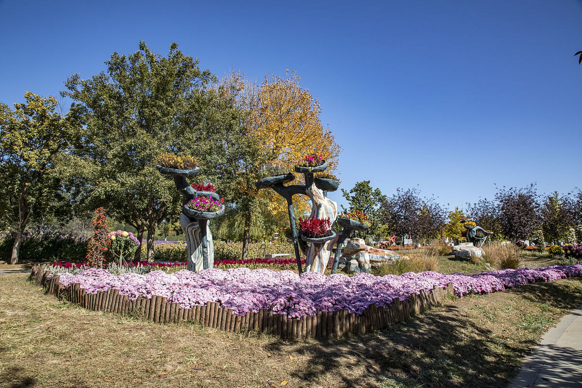 顺义花卉基地图片