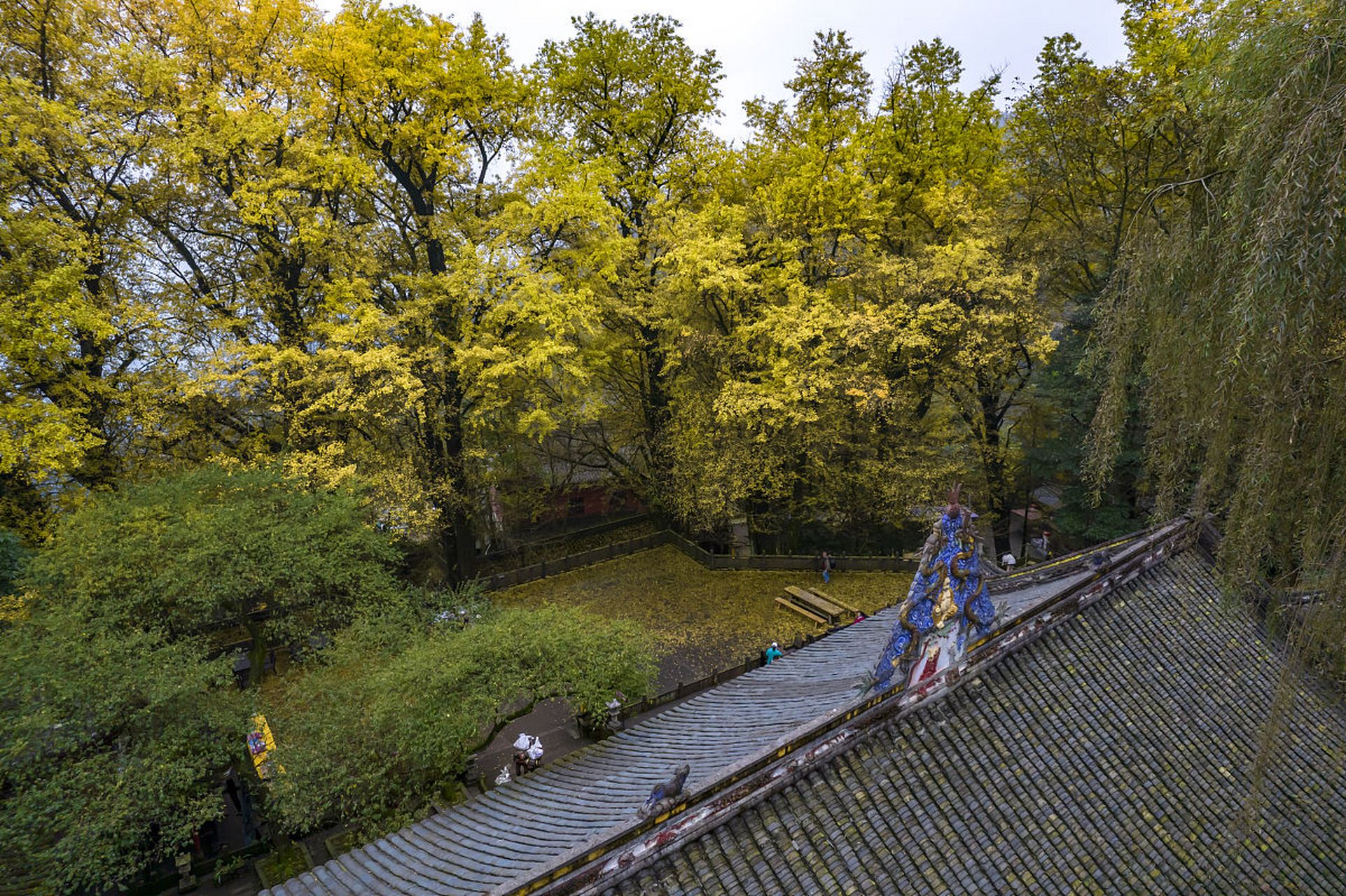 我给名山点个赞# 蒙顶山海拔1456米,距成都110公里,位于雅安市名山区