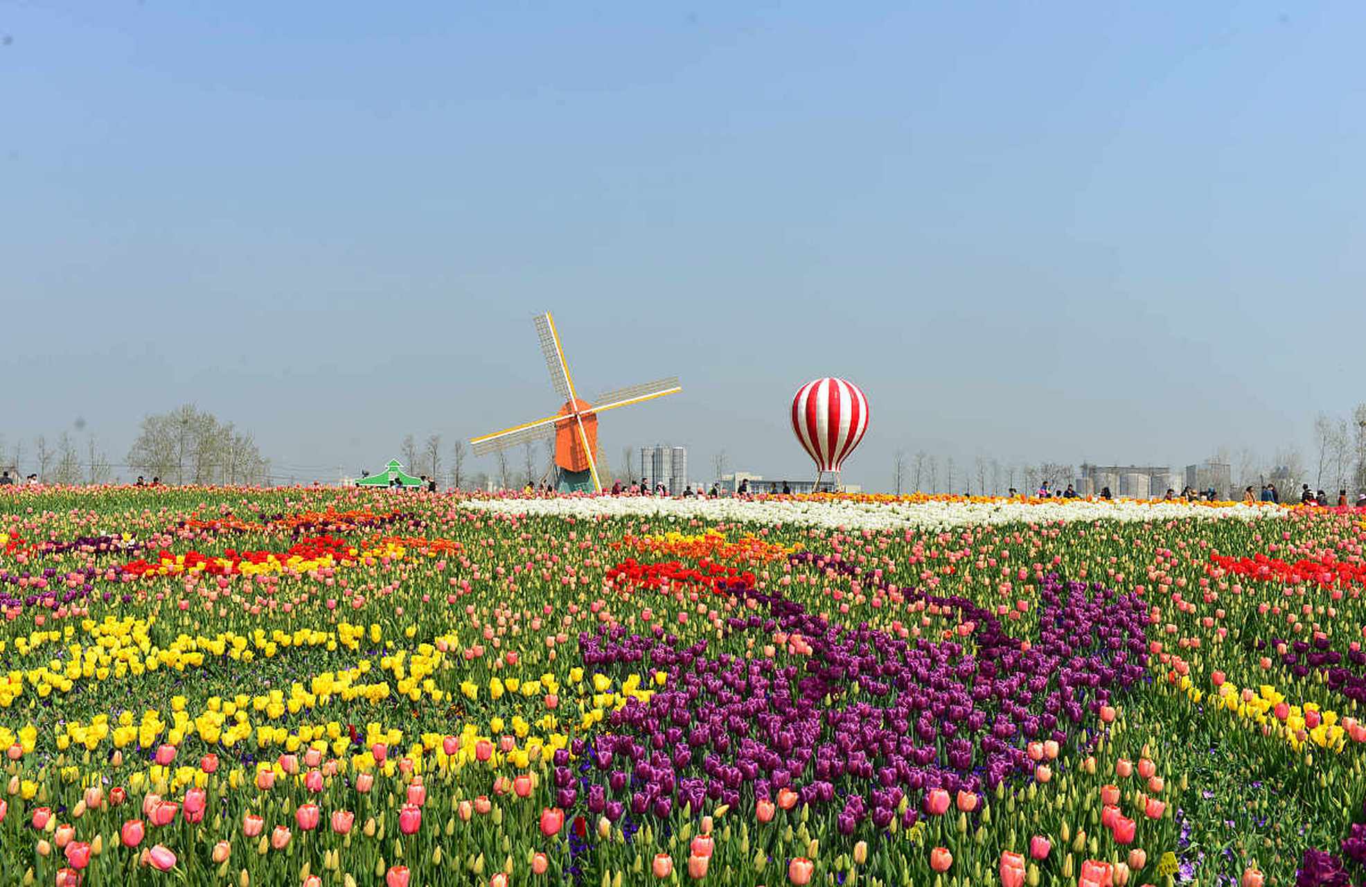 99 一提起扬州马可波罗花世界,我就仿佛置身于一片五彩斑斓的梦境之