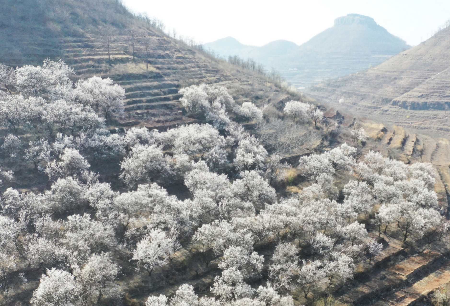 简阳梨花沟风景区图片图片