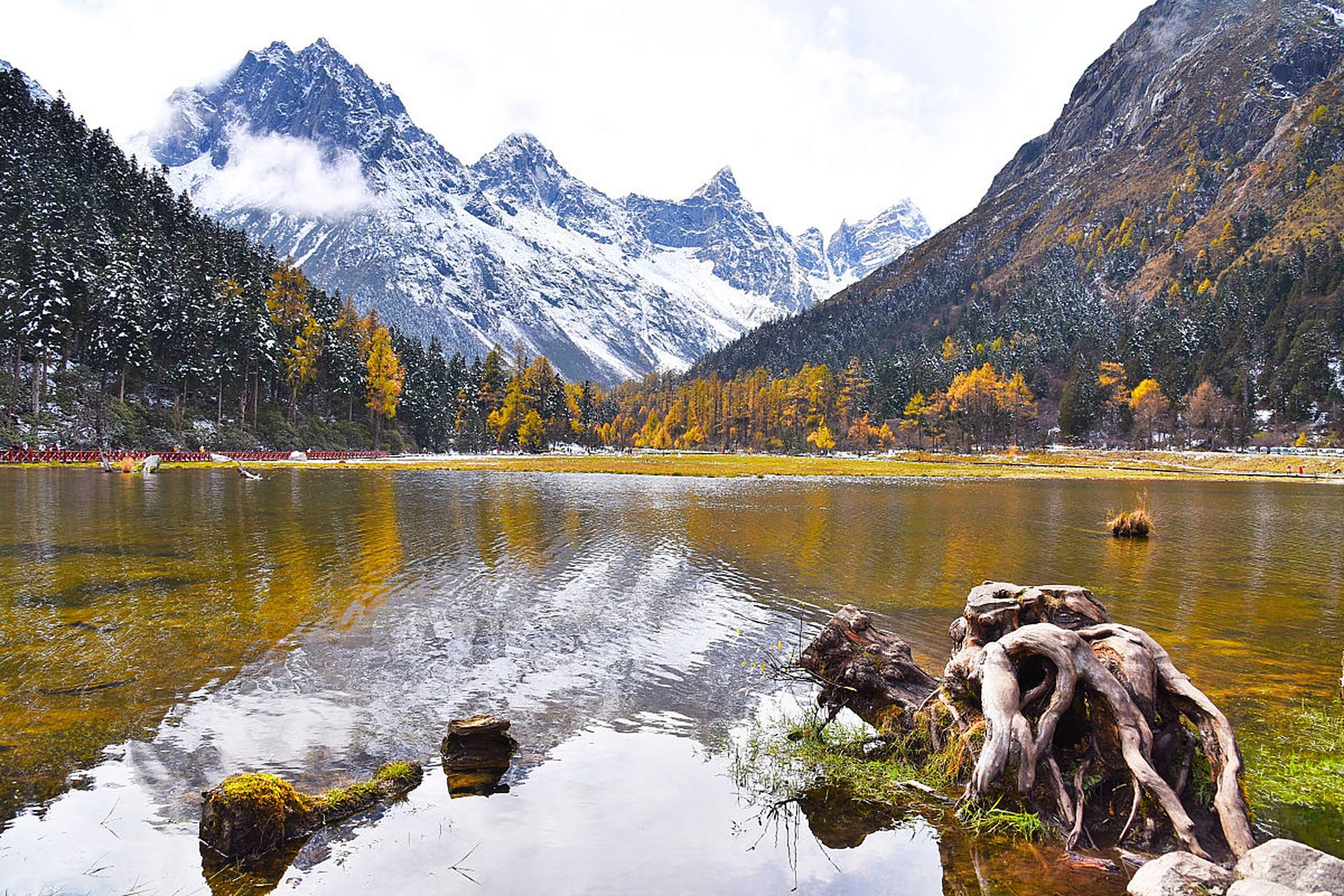 冬日雪景大赏# 冬日里的毕棚沟,银装素裹,美如仙境.