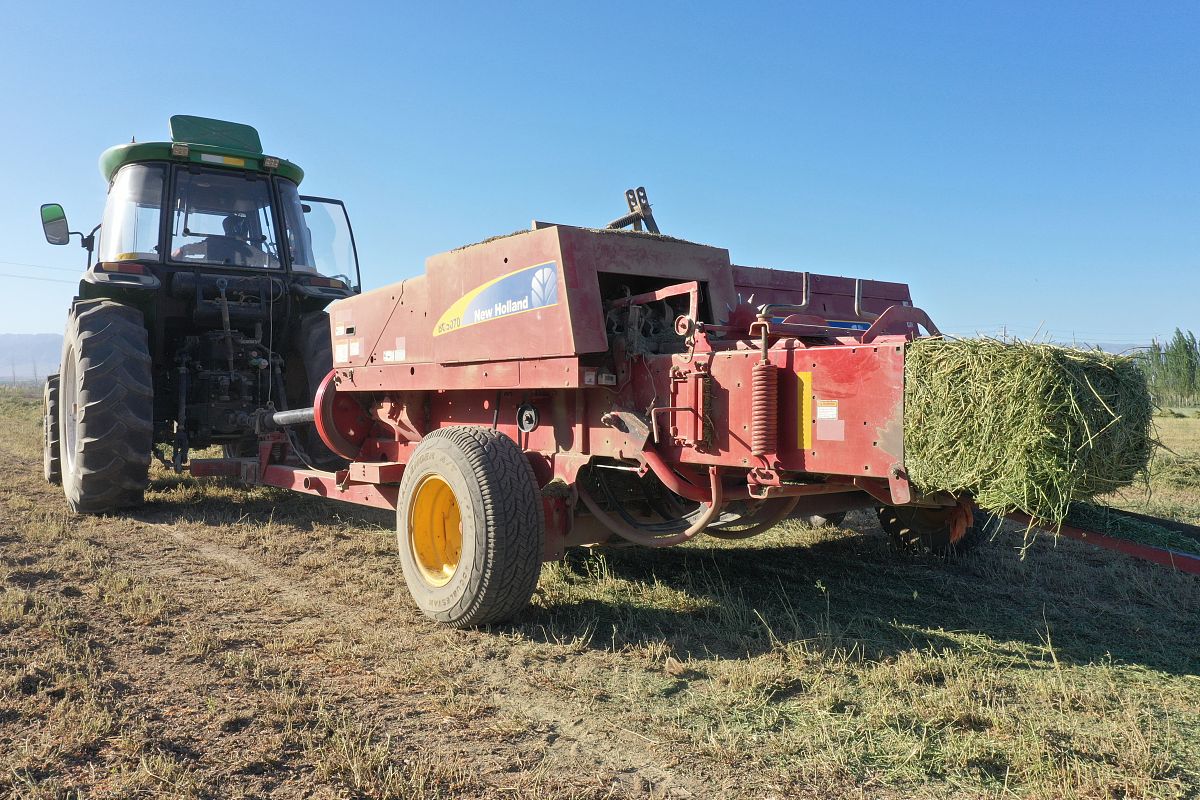 湘潭市岳塘区：“秸”尽其用 变废为宝