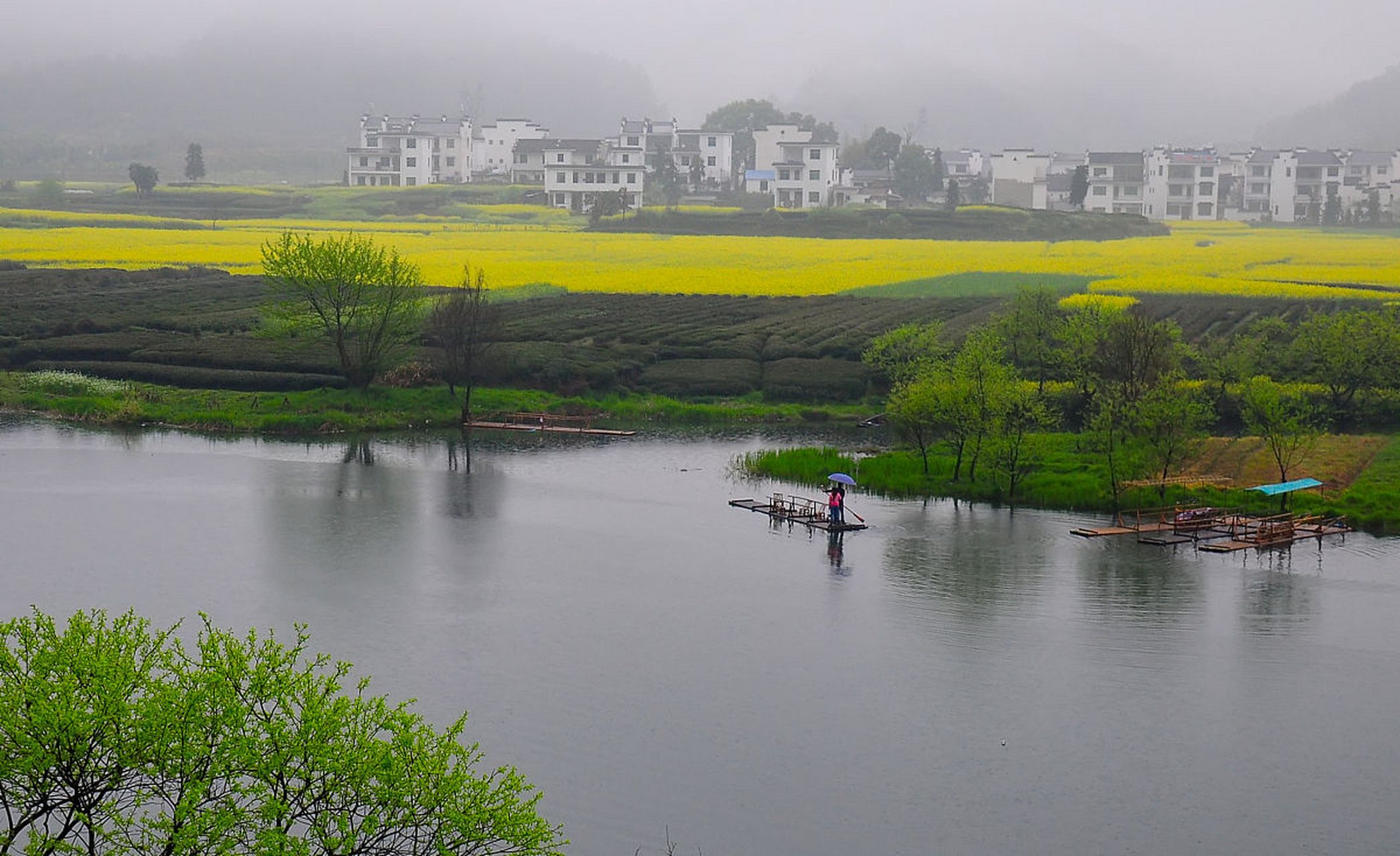镜头里的春天# 春色婉约的安徽望江华阳镇,是一个充满生机与活力的