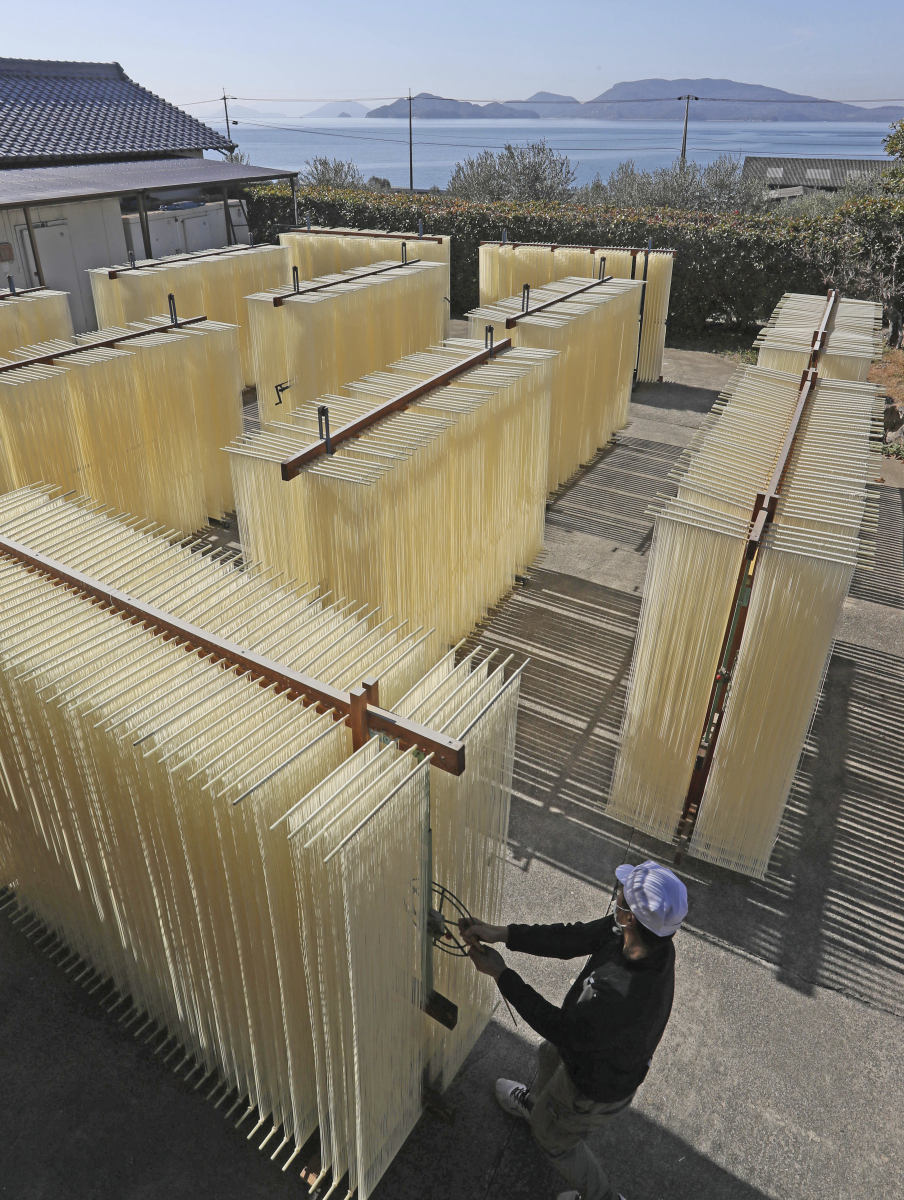 盘面烘干机 大型手工面条低温除湿烘干设备