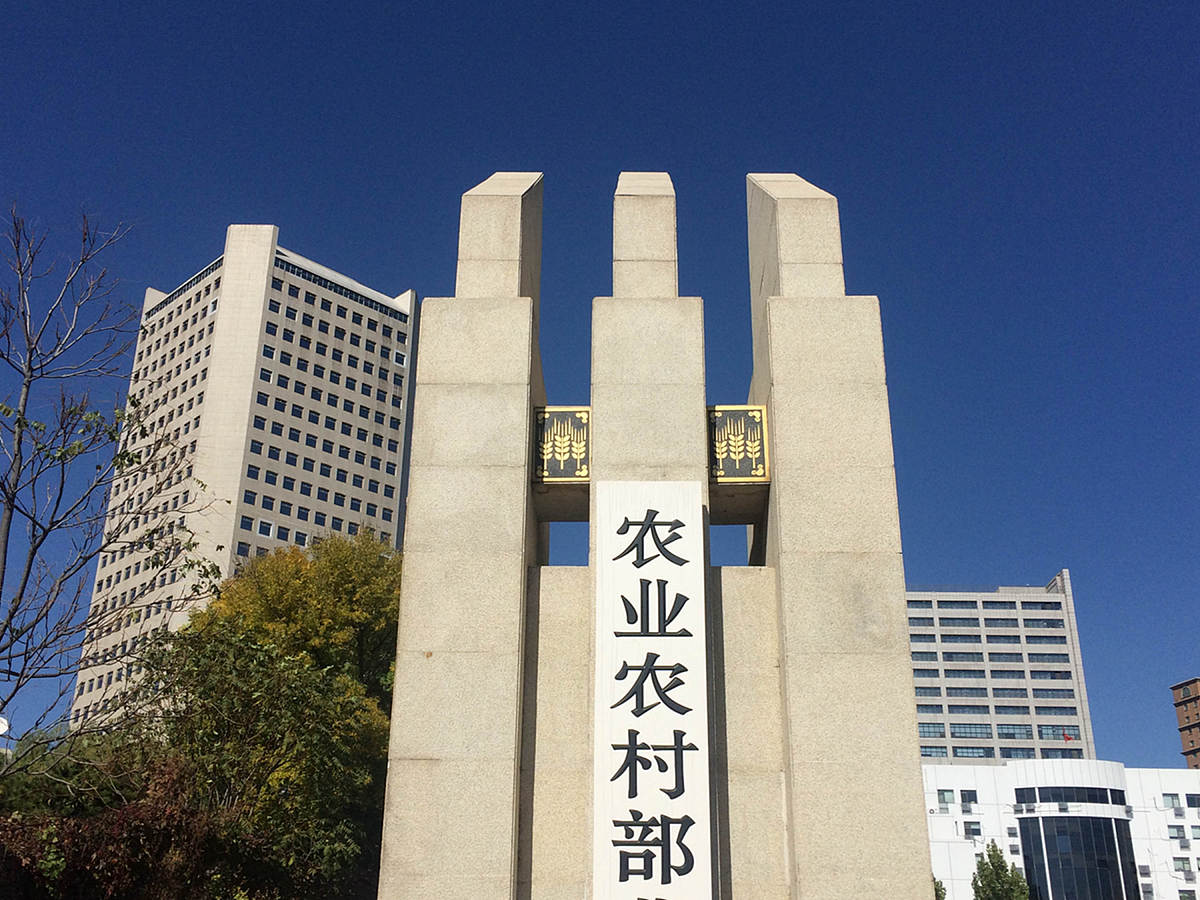 北京农民和河南河北农民生活,待遇,收入,对比