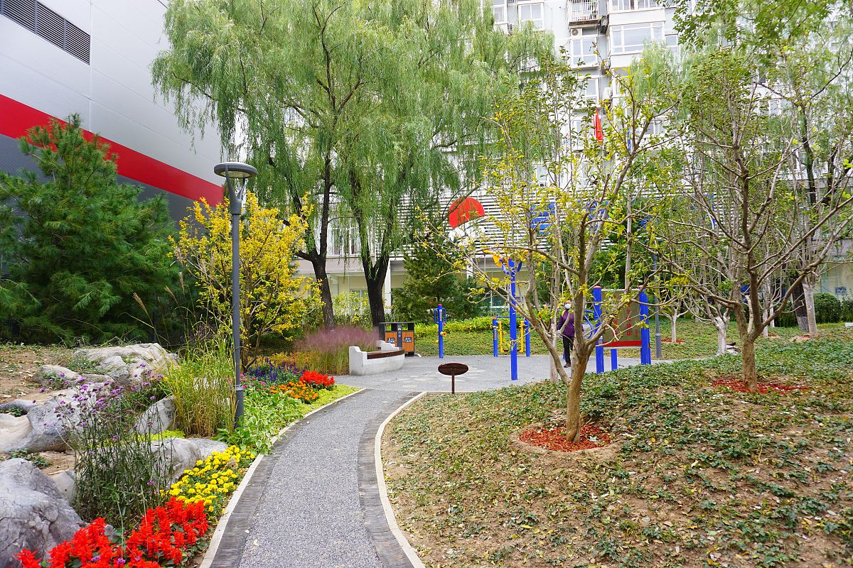 上海松江新桥公园好比山水画